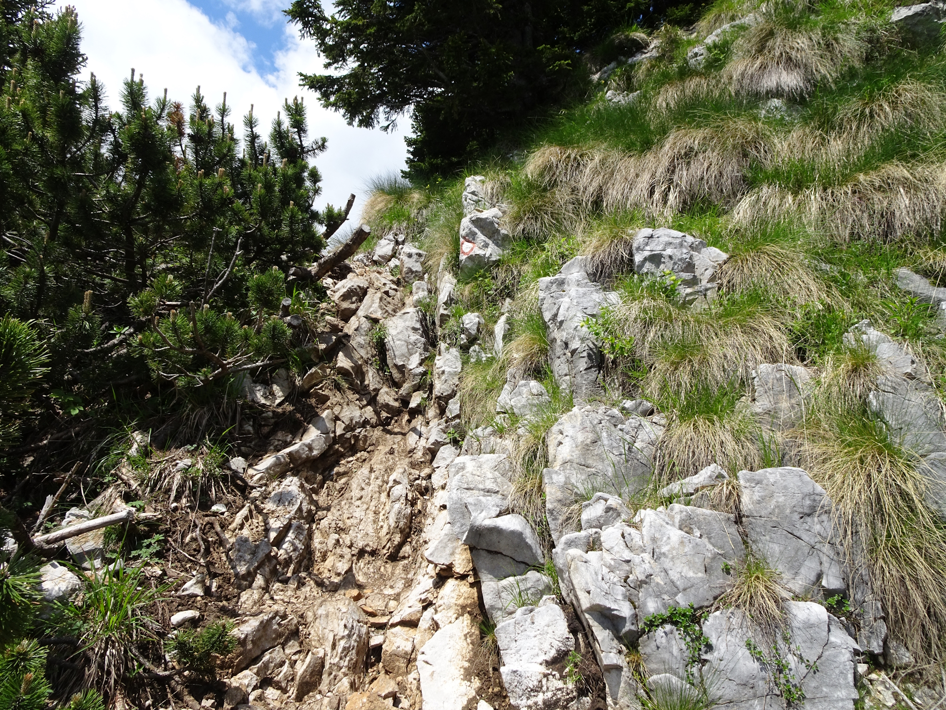 Some easy climbing required