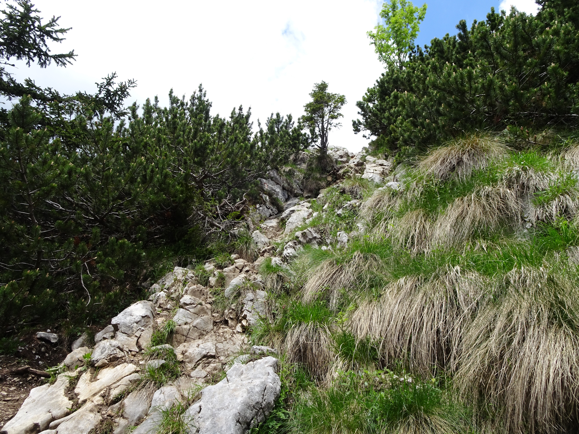 Climbing up towards <i>Veliki vrh (Begunjščica)</i>
