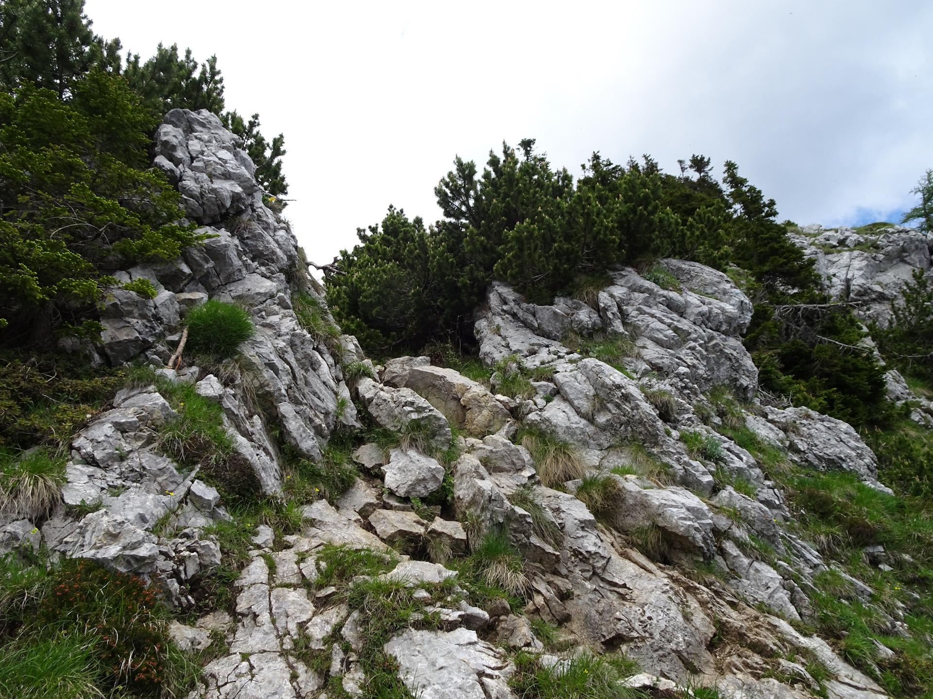 A bit more (easy) climbing