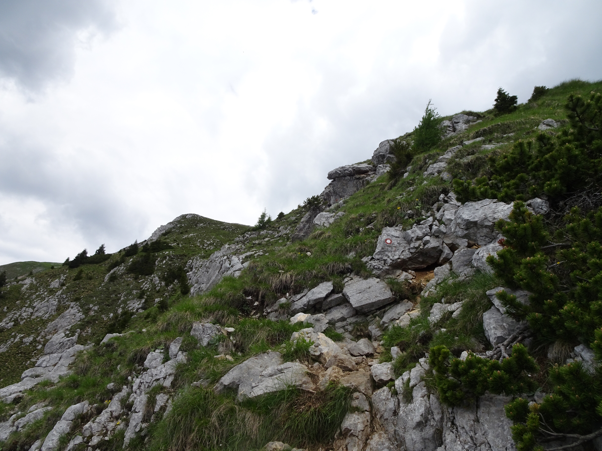 On the trail towards the plateau of <i>Veliki vrh (Begunjščica)</i>