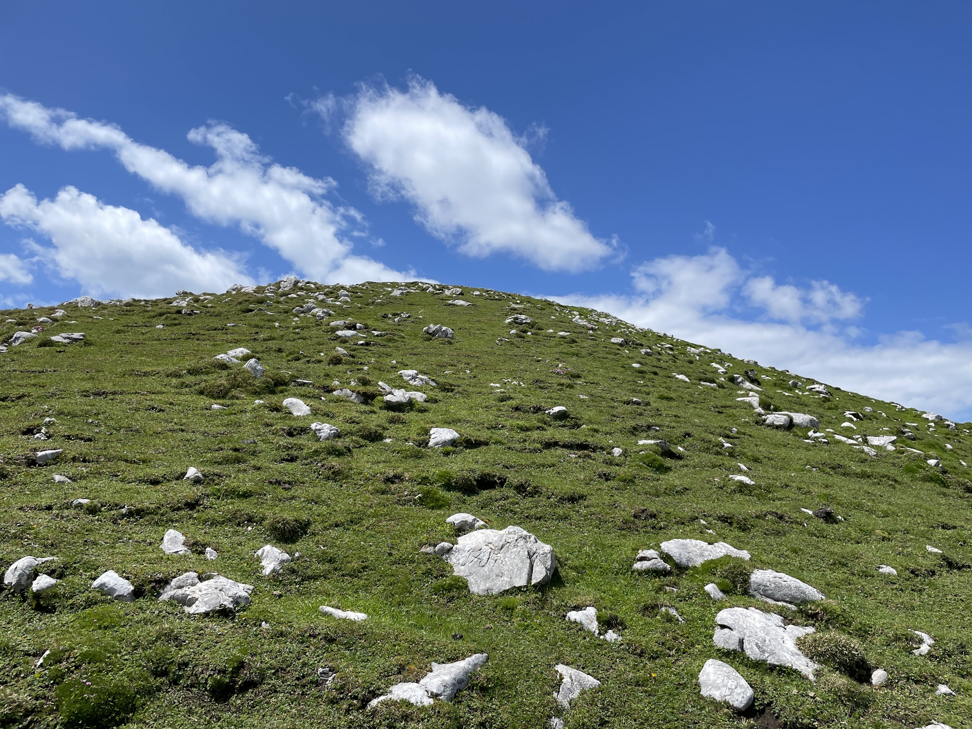 Last ascent up to <i>Veliki vrh (Begunjščica)</i>