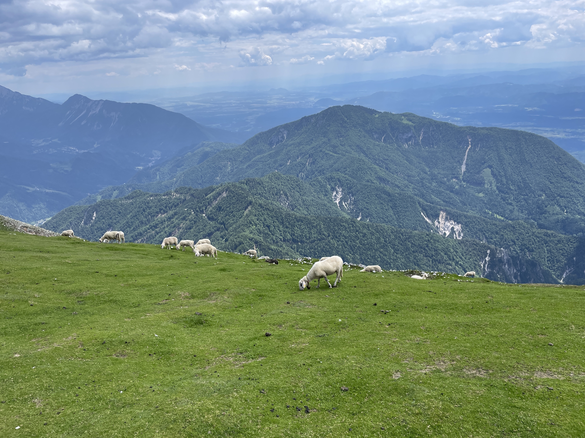 At the plateau of <i>Veliki vrh (Begunjščica)</i>