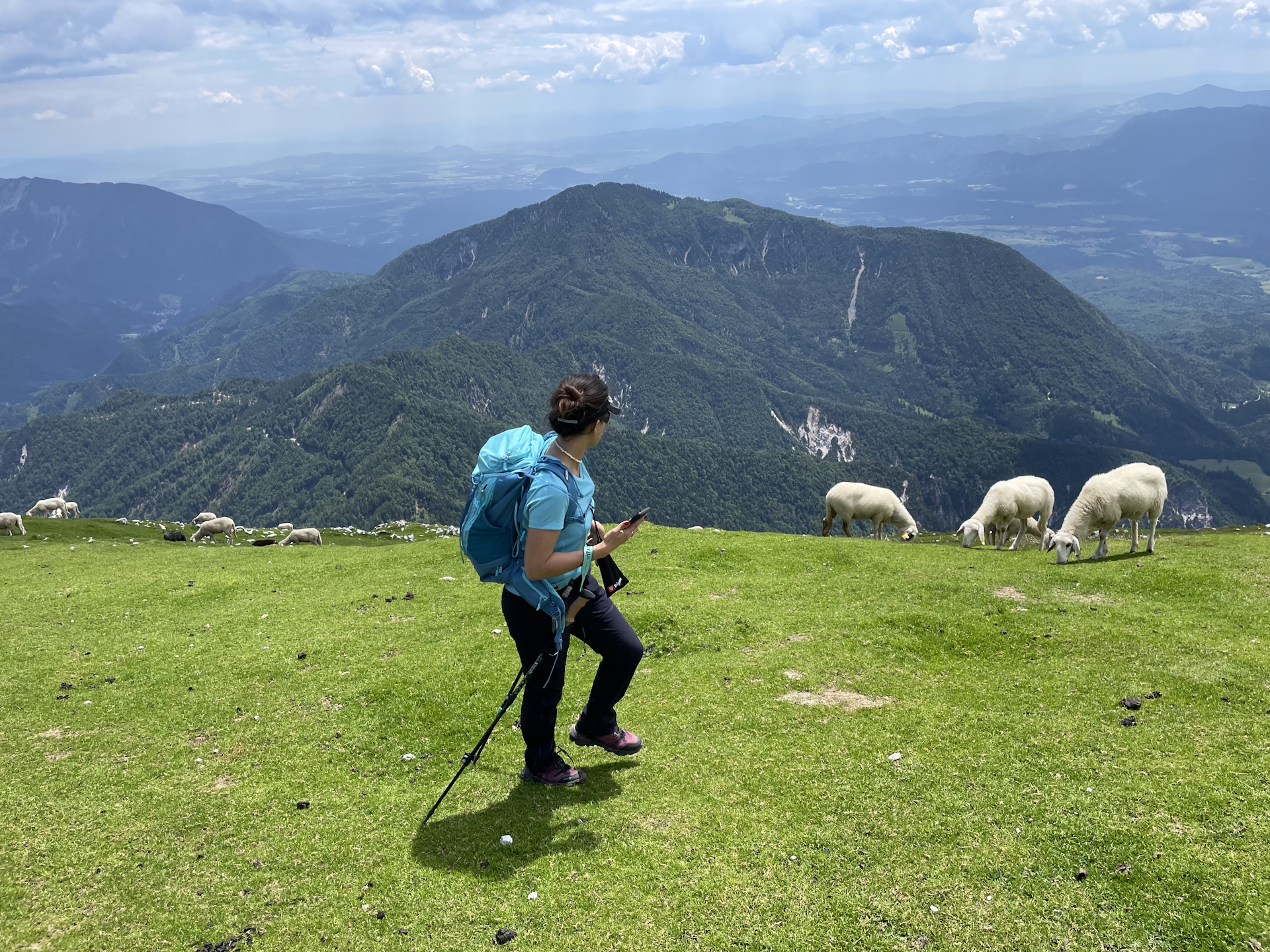 Bypassing the sheep at the summit