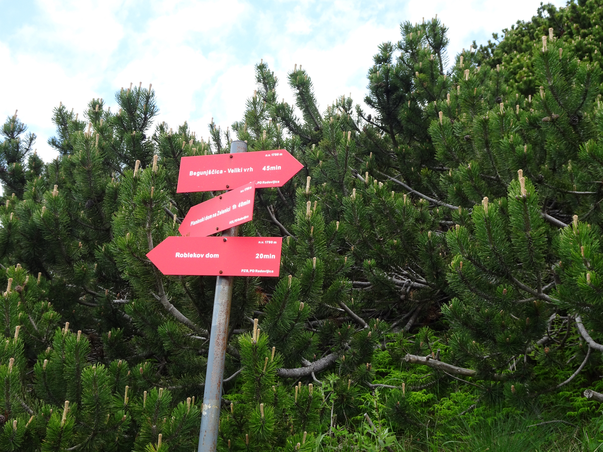 The crossing with with <i>Slovenska geološka pot</i>