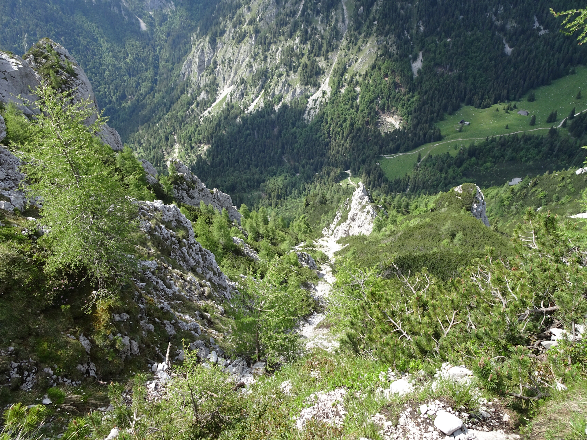 View down from the trail towards <i>Planinski dom na Zelenici</i>