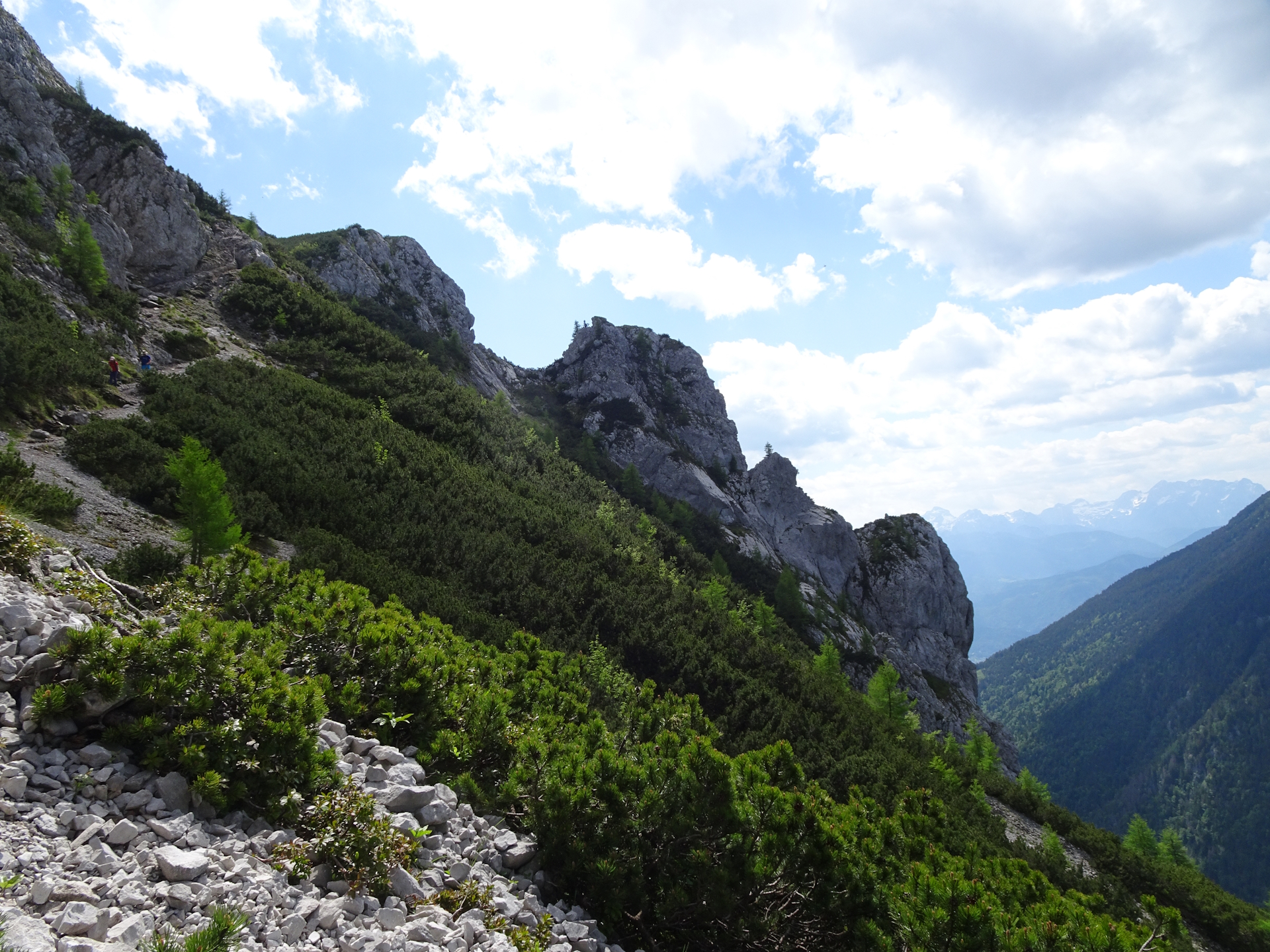 View back on the trail