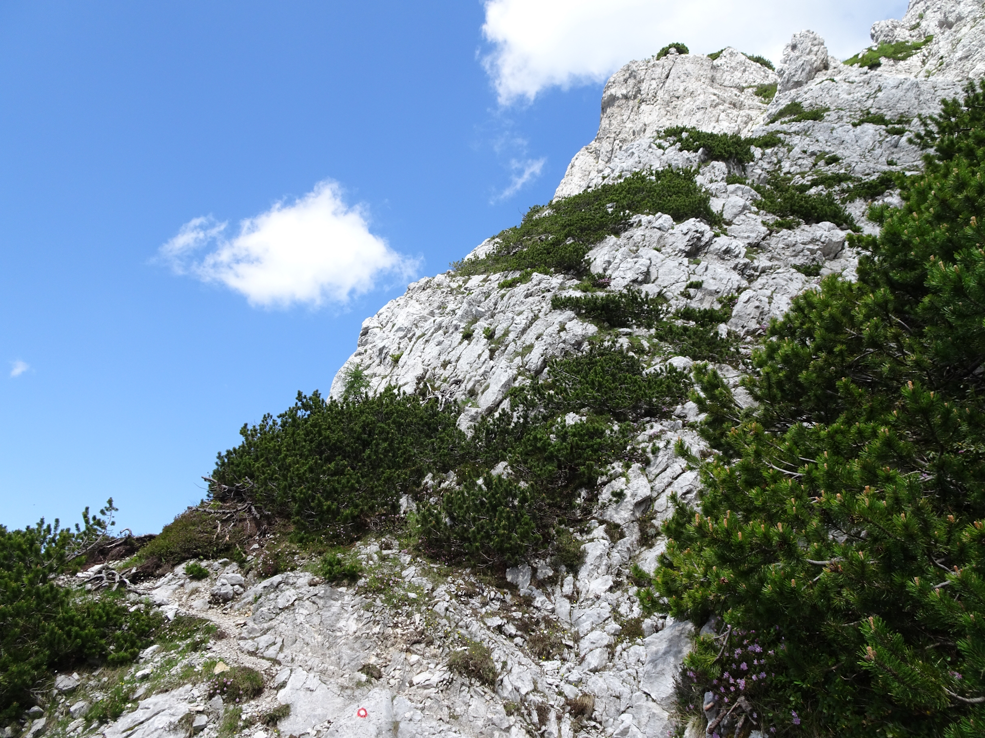 On the trail towards <i>Planinski dom na Zelenici</i>