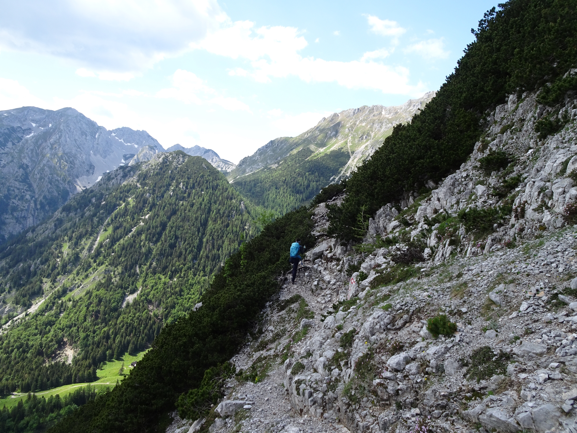 Eliane leads the way towards <i>Planinski dom na Zelenici</i>