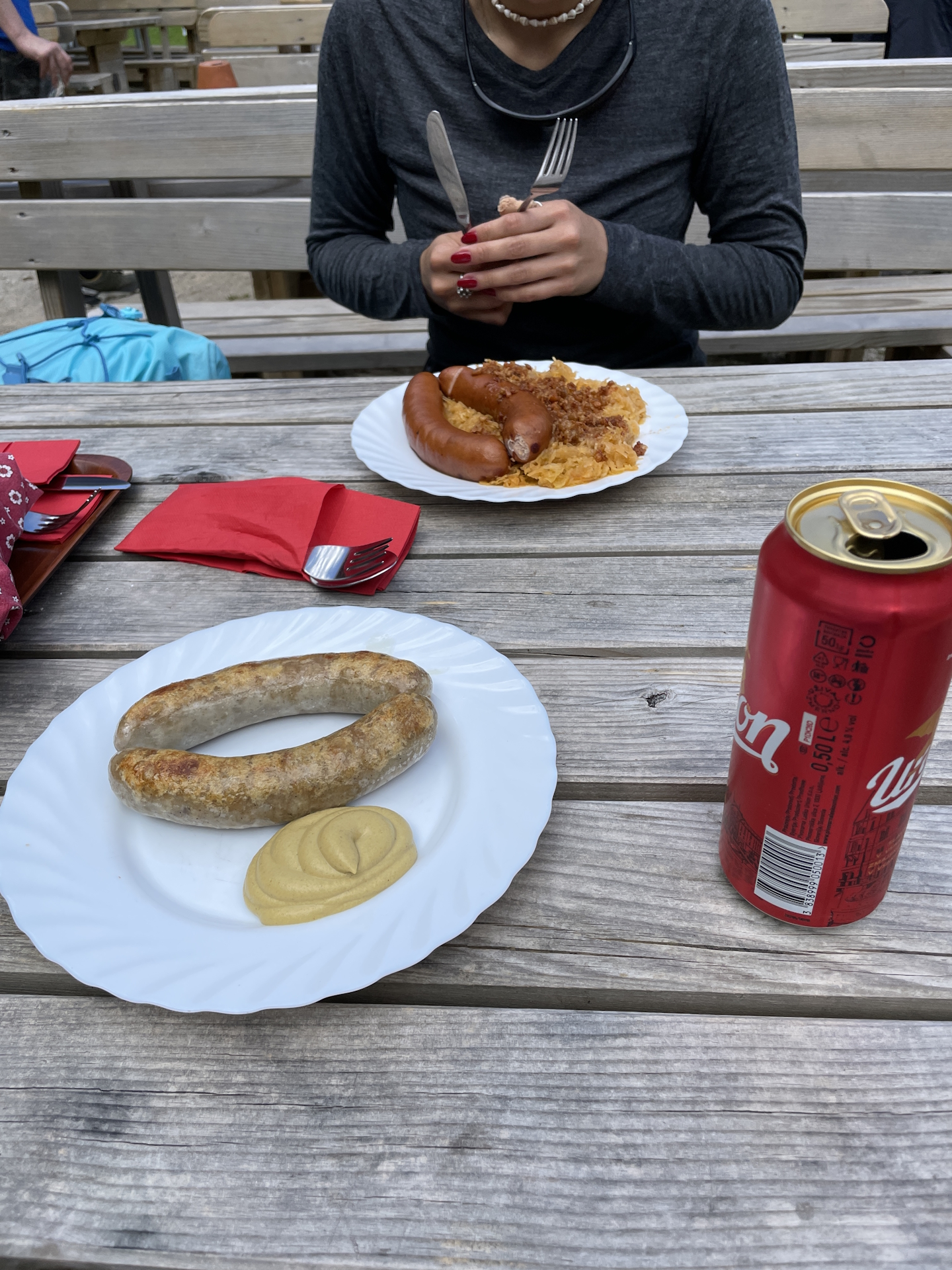 Excellent and well-deserved food at <i>Planinski dom na Zelenici</i>