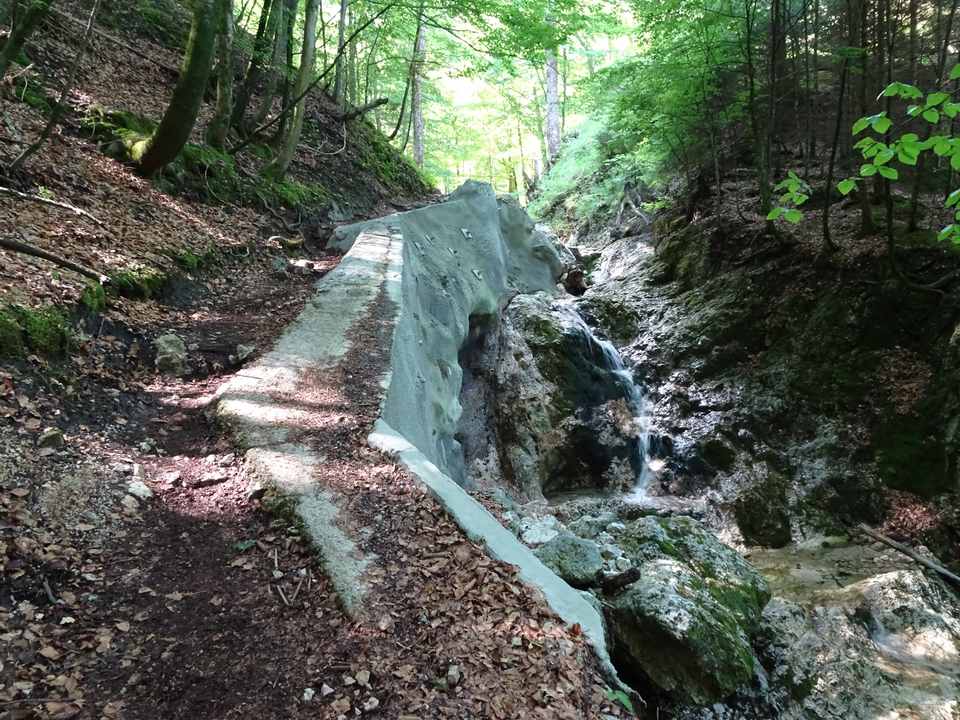 Following the <i>Dopplersteig</i>