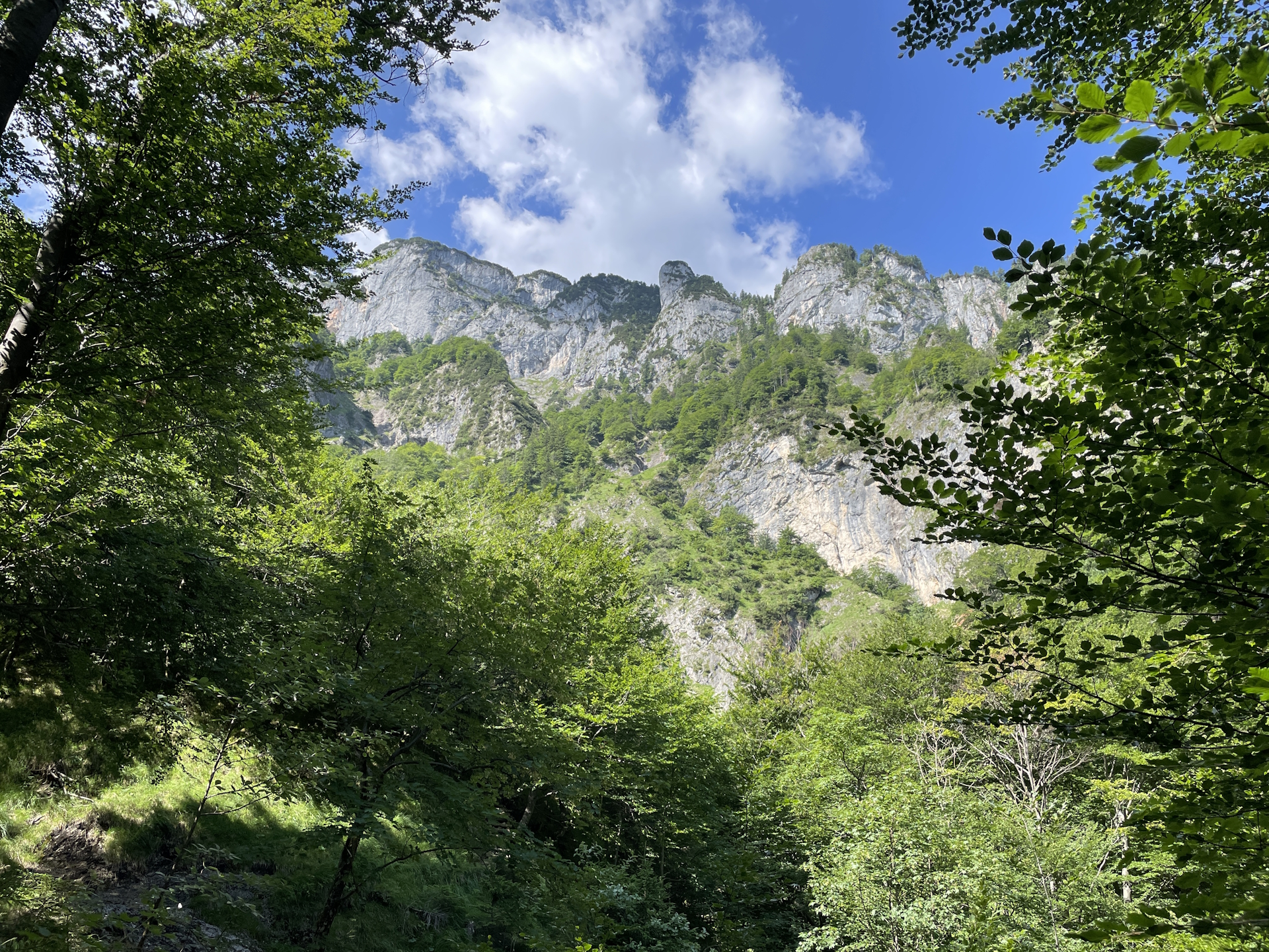 Impressive view from <i>Dopplersteig</i>