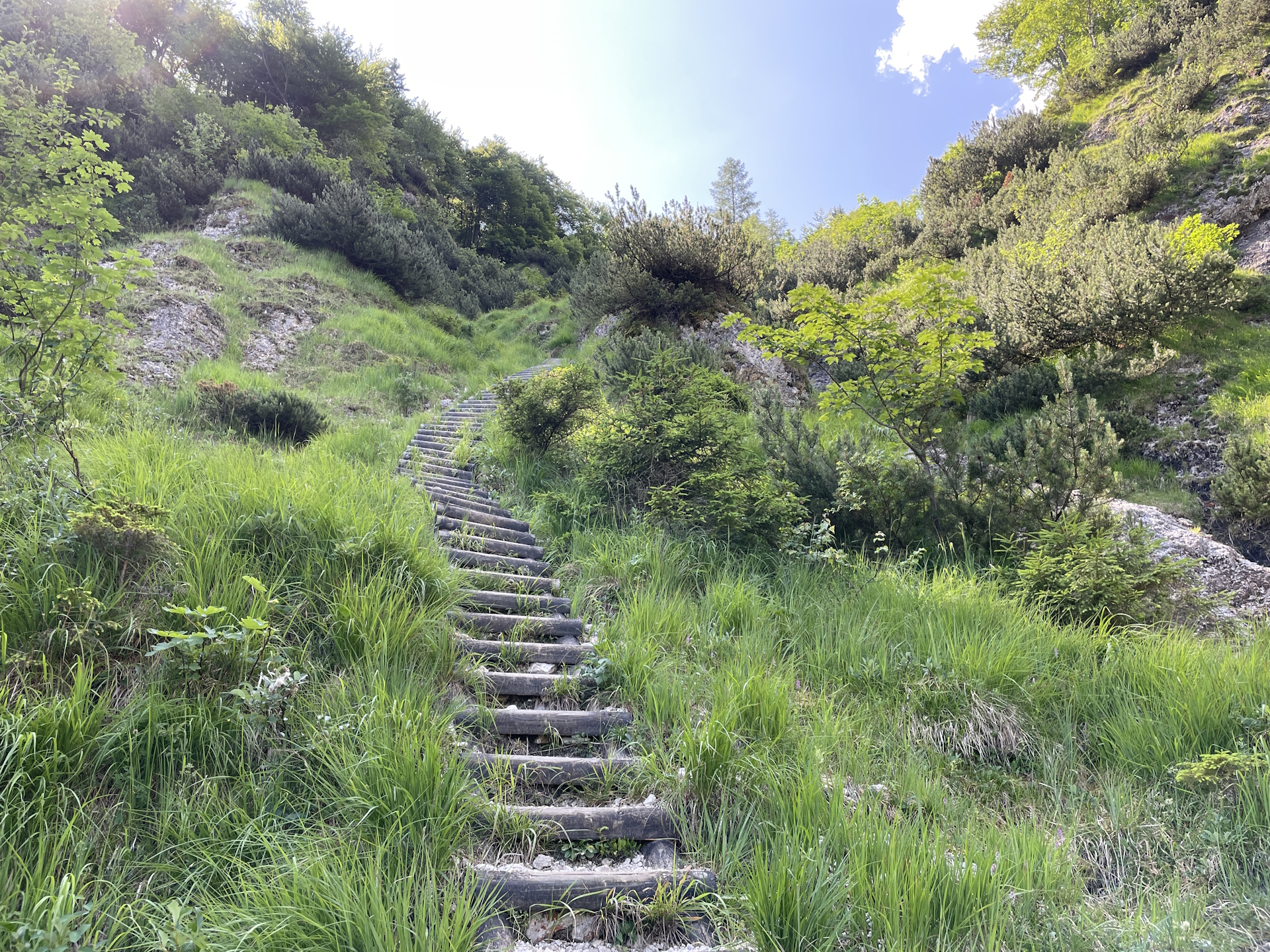 Yet another set of stairs