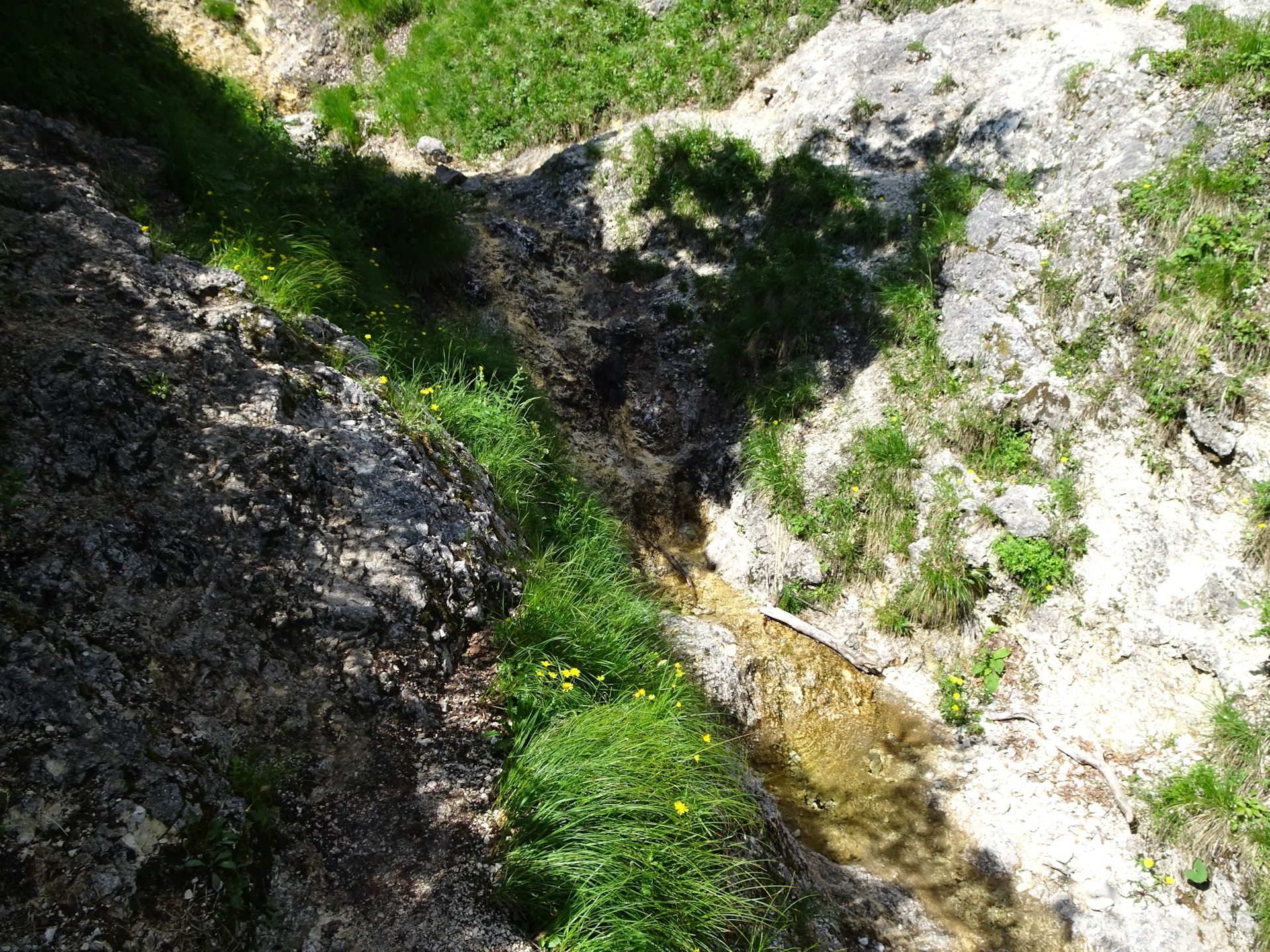 Crossing a small river with ice cold water :)