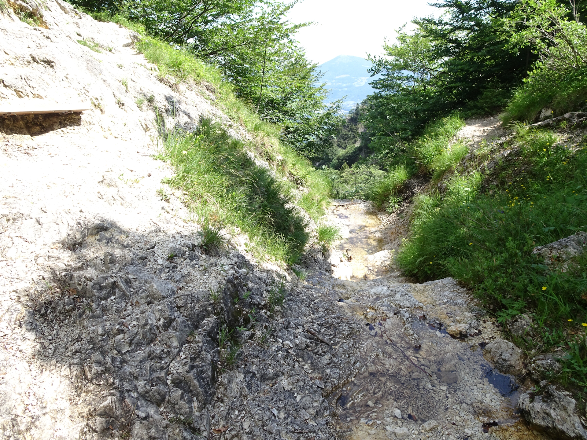 Crossing the small river