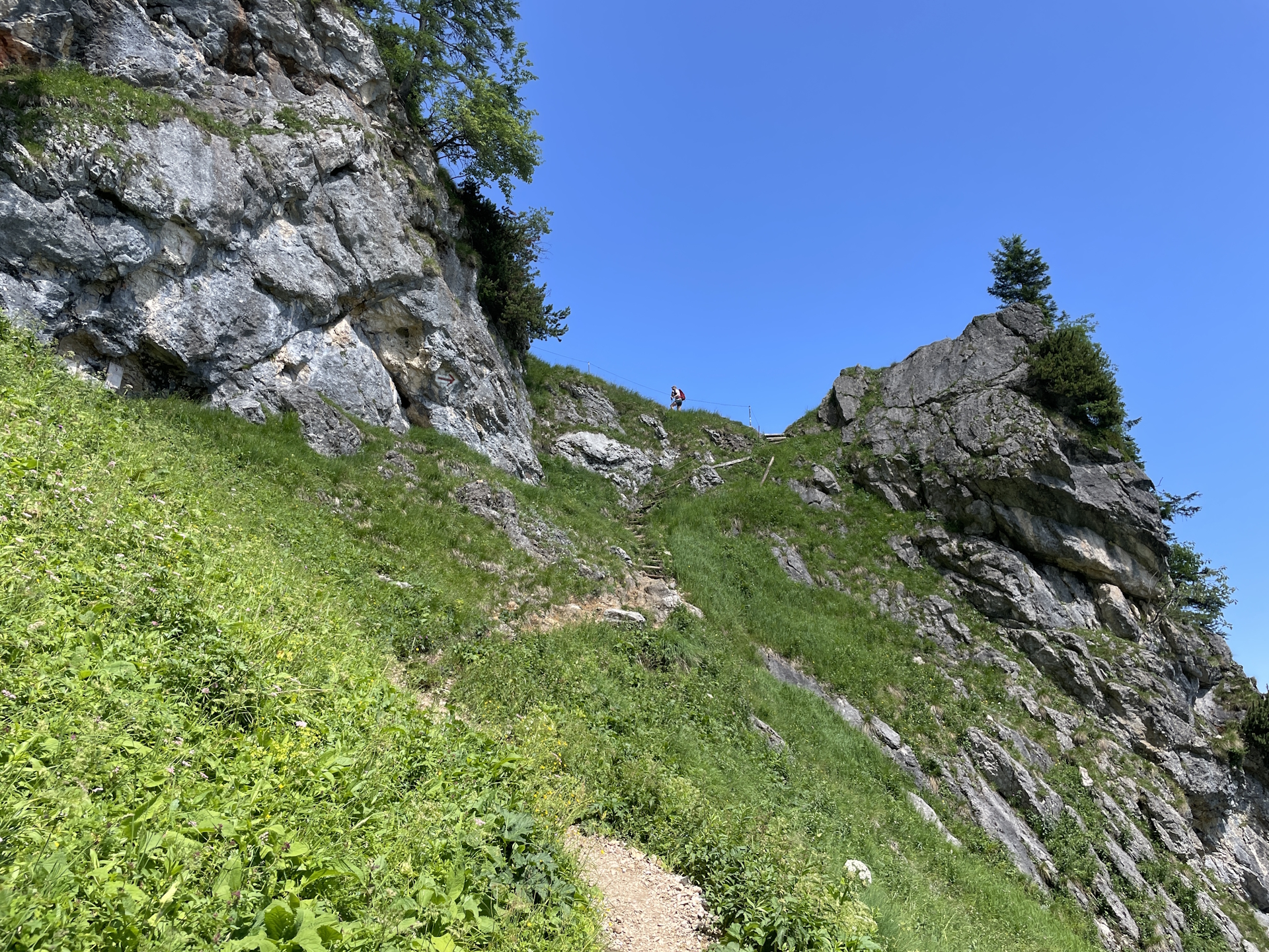 Ascending via <i>Dopplersteig</i>