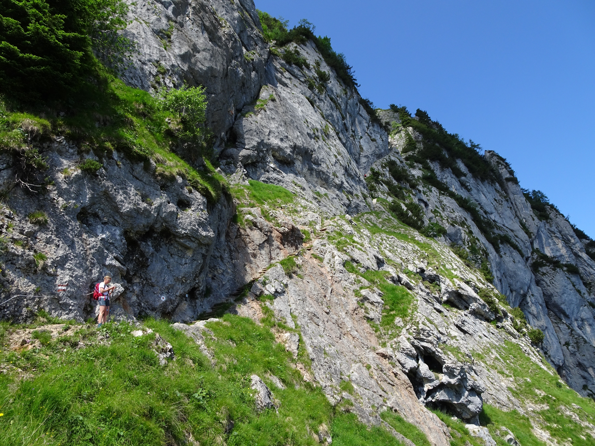 Now it becomes alpine!