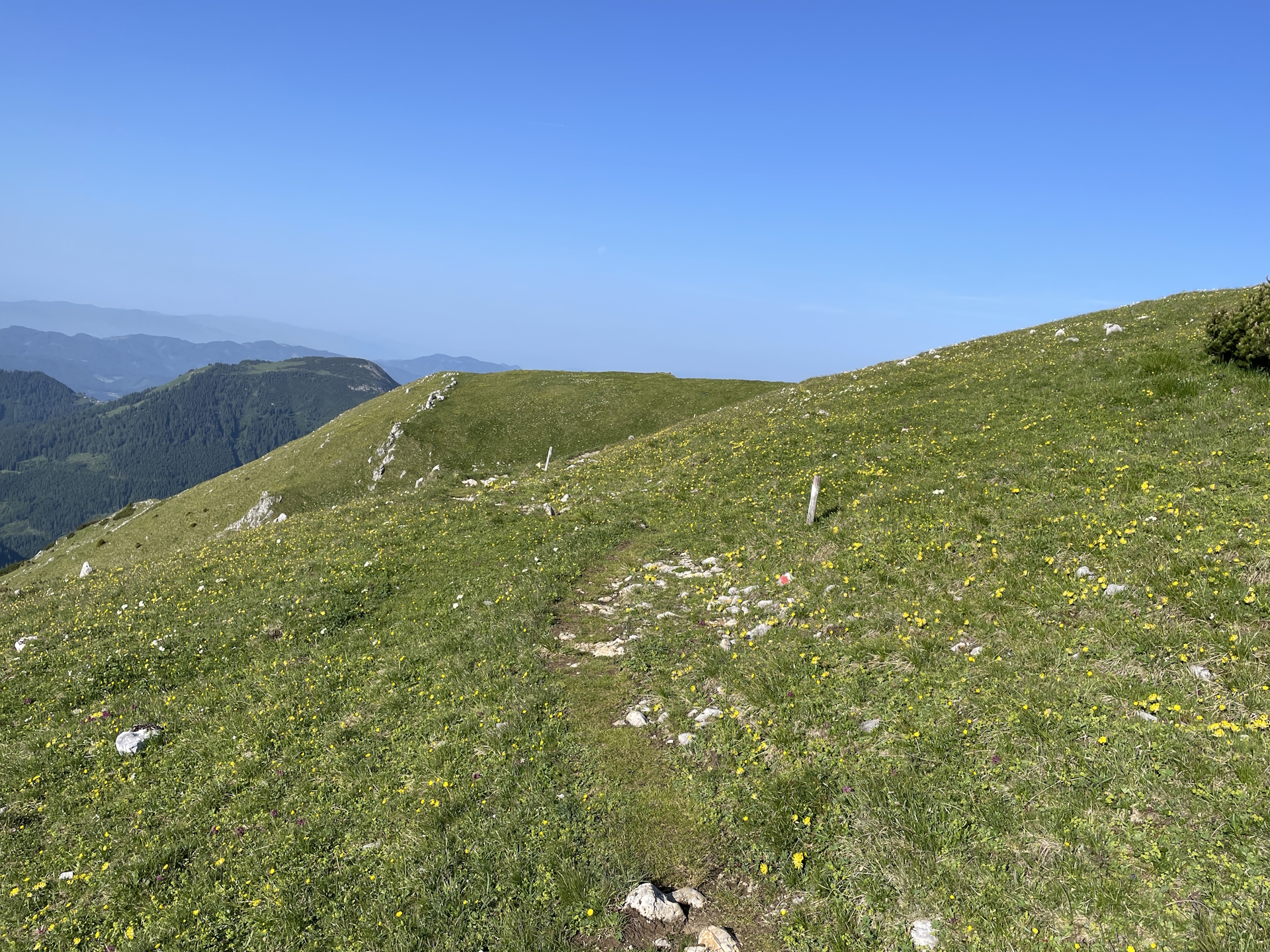 Towards the <i>Teufelssteig</i>