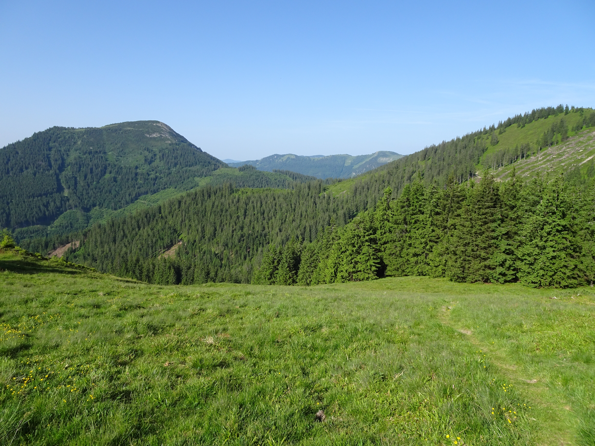 Towards <i>Rotsohlalm</i>