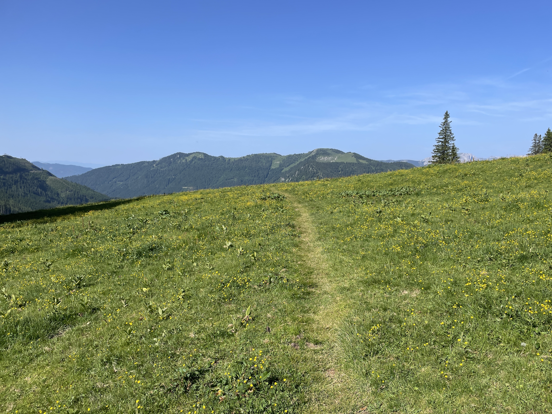 Towards <i>Turnaueralm</i>