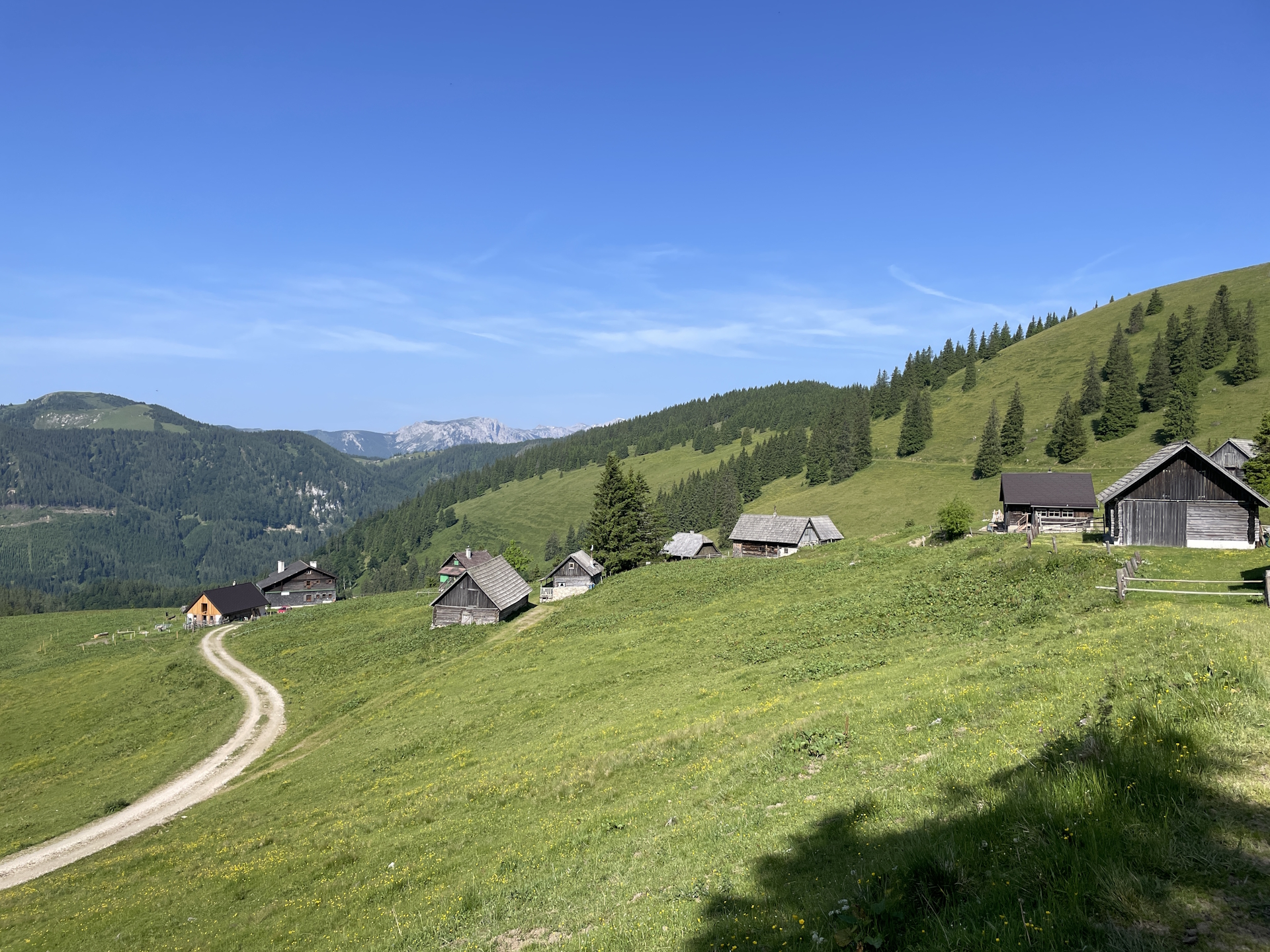 The <i>Turnaueralm</i>