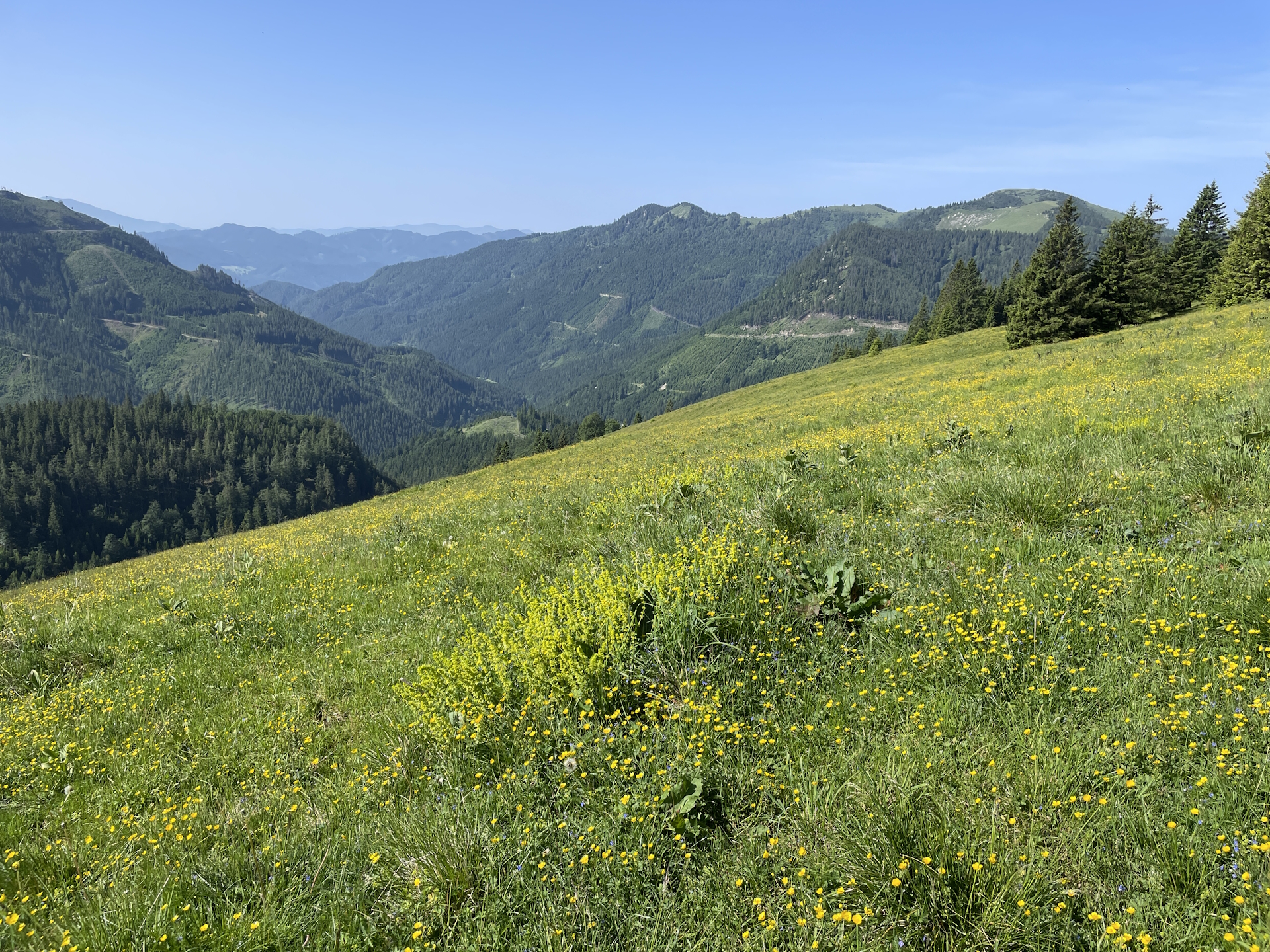 View back from the trail towads <i>Göriacher Alm</i>