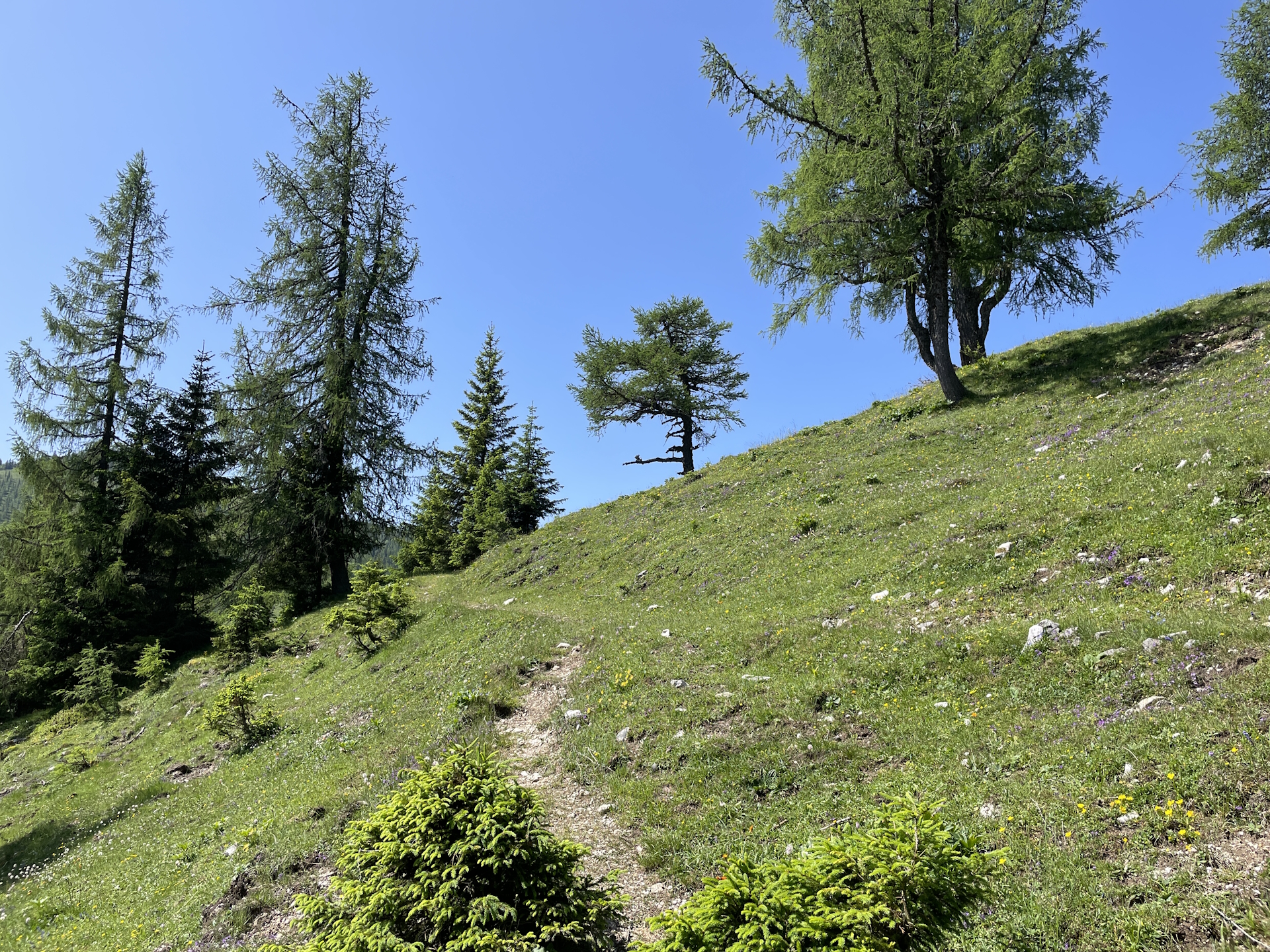 Approaching <i>Göriacher Alm</i>