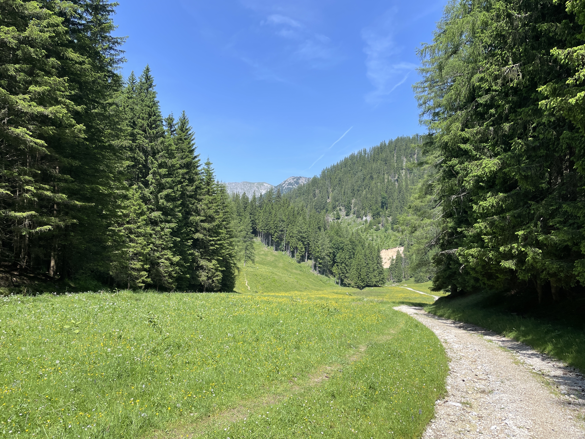 On the trail towards <i>Seebergalm</i>