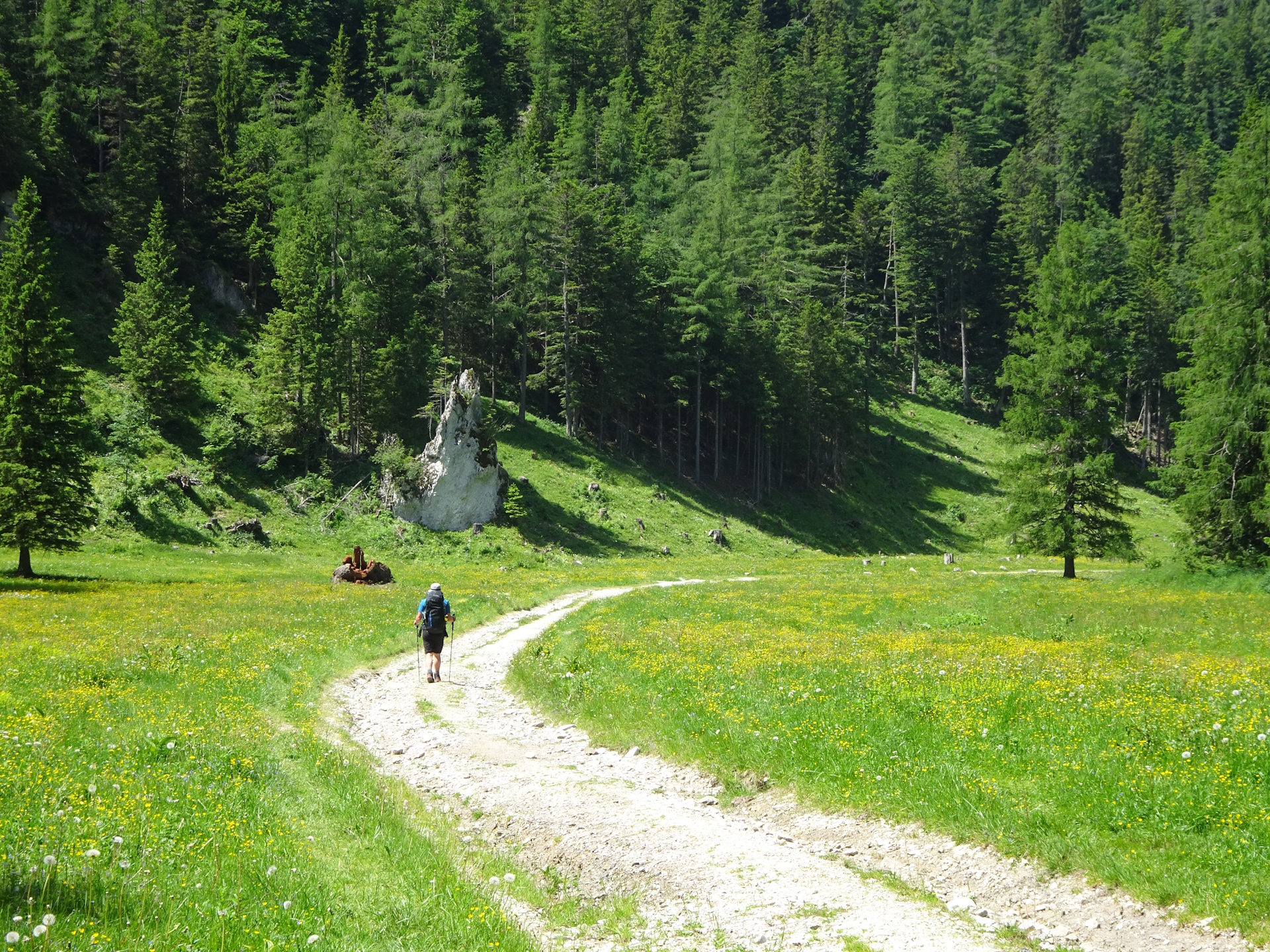 Robert leads the way towards <i<Seebergalm</i>