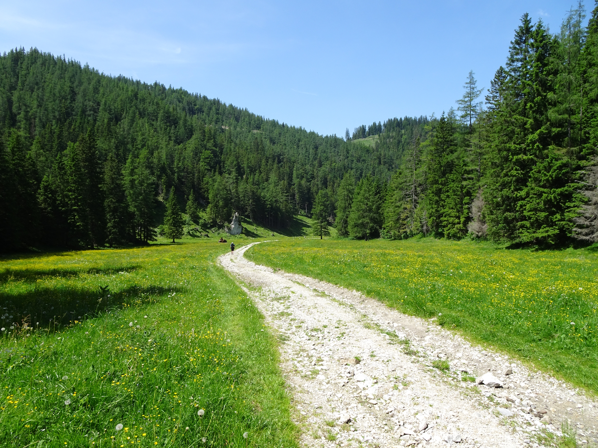 On the trail towards <i>Seebergalm</i>