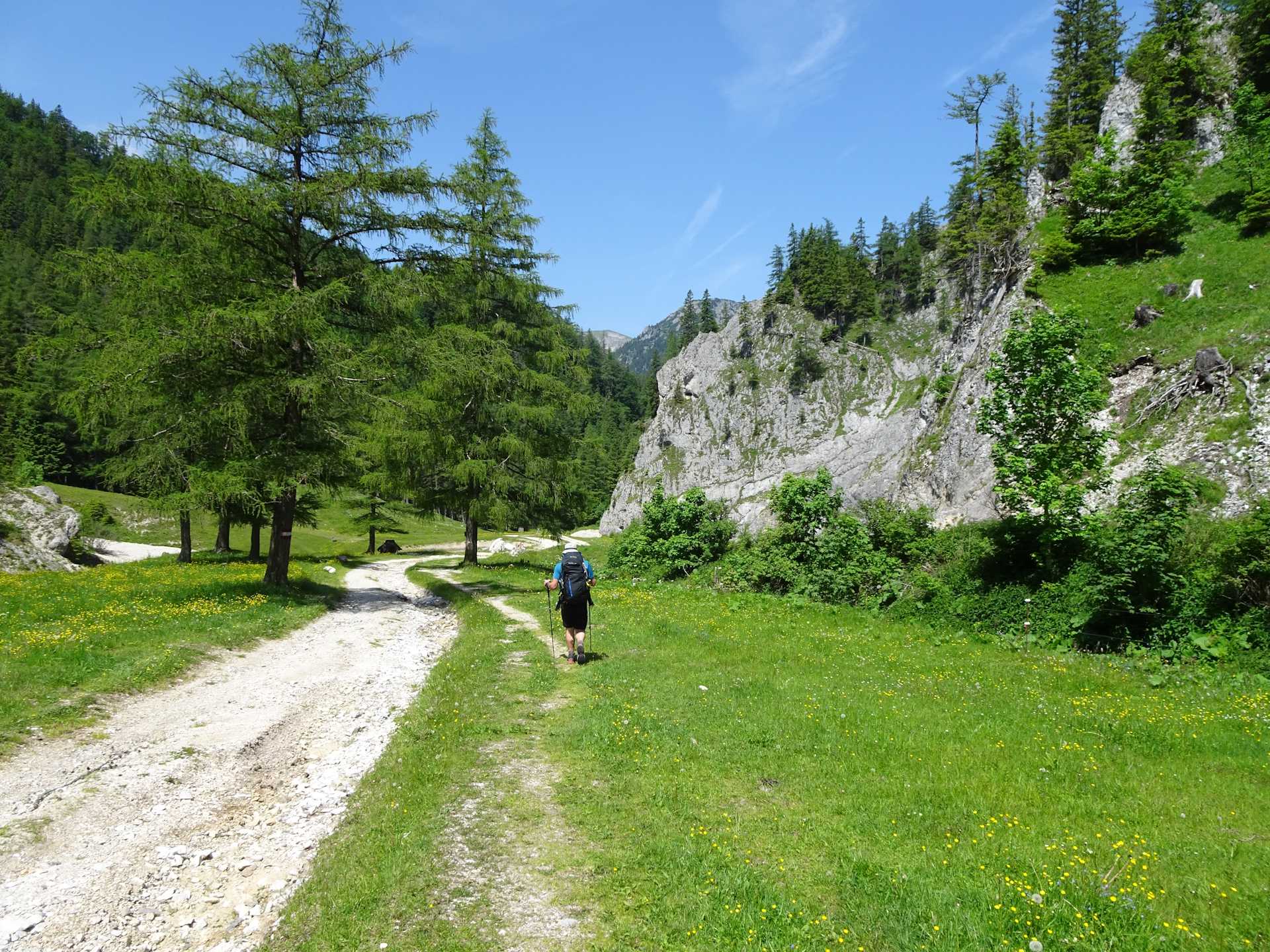 On the trail towards <i>Seebergalm</i>