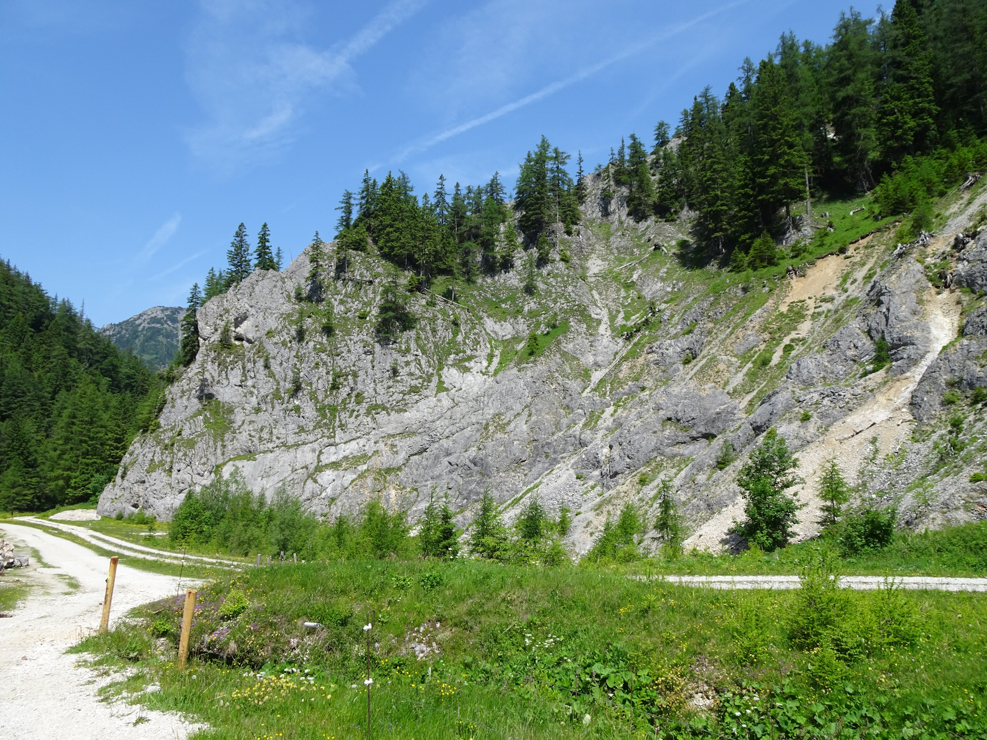 On the trail towards <i>Göriacher Alm</i>