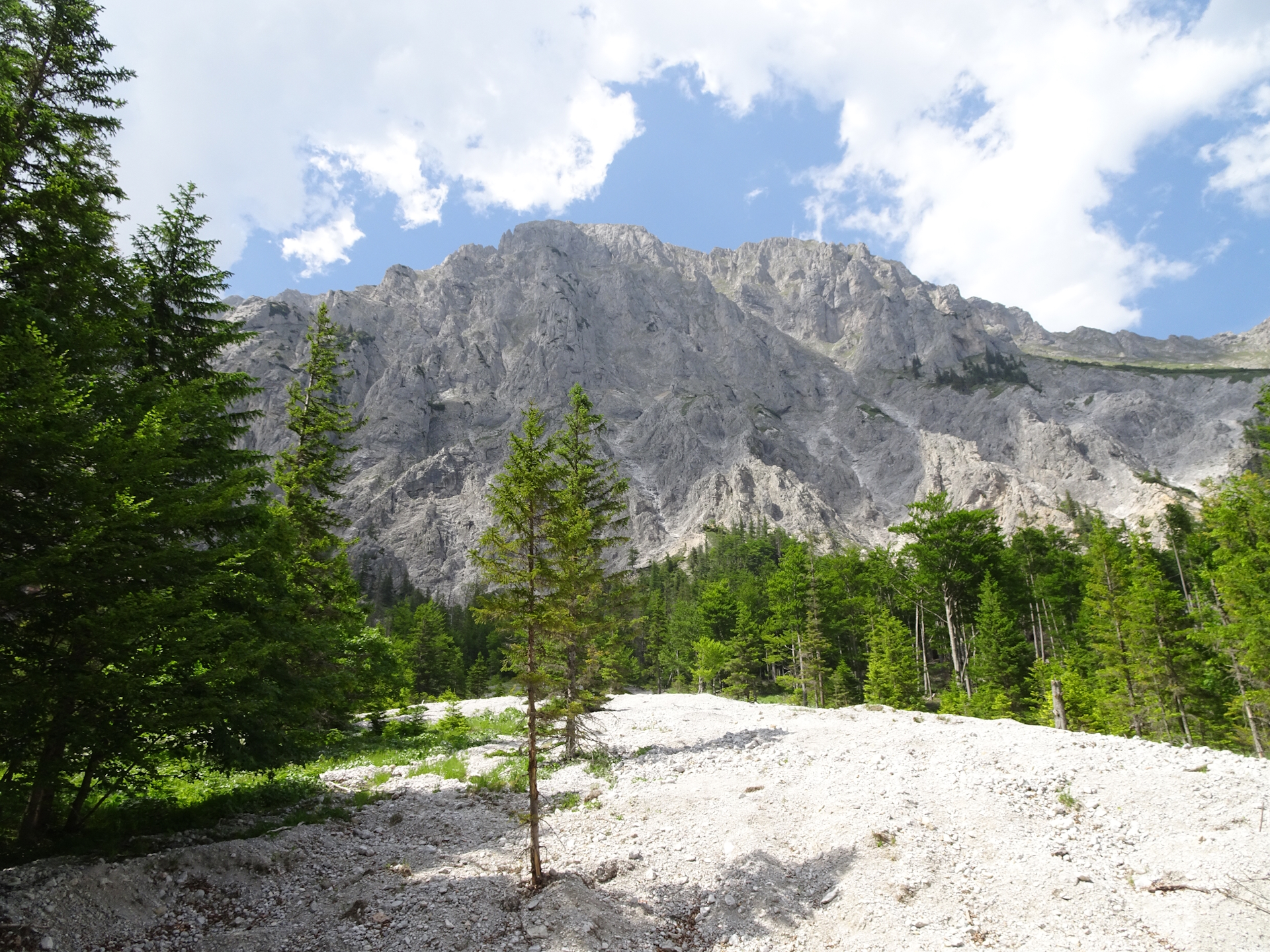 On the trail towards <i>Voisthalerhütte</i>