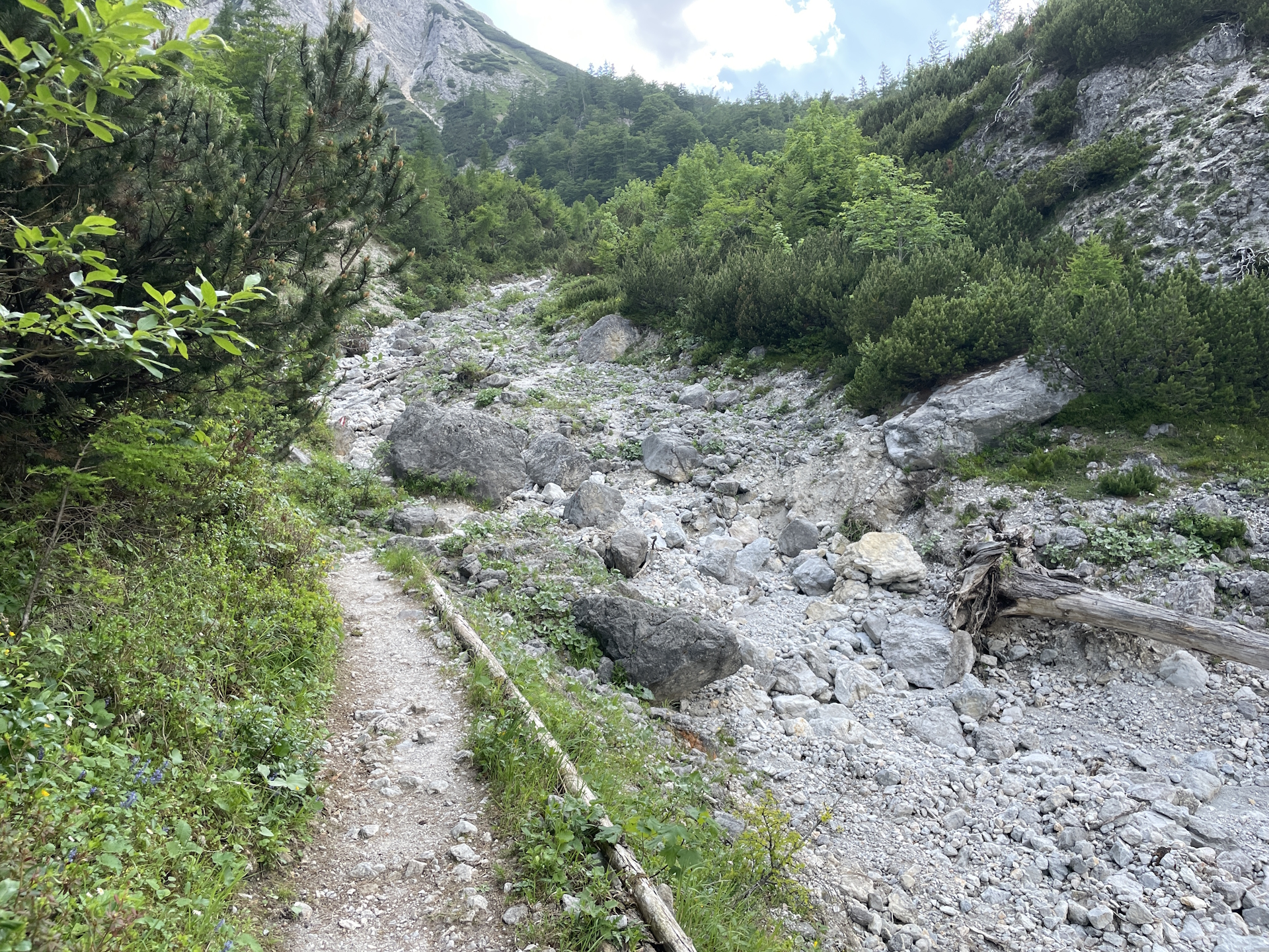 Through the <i>Böser Wald</i>