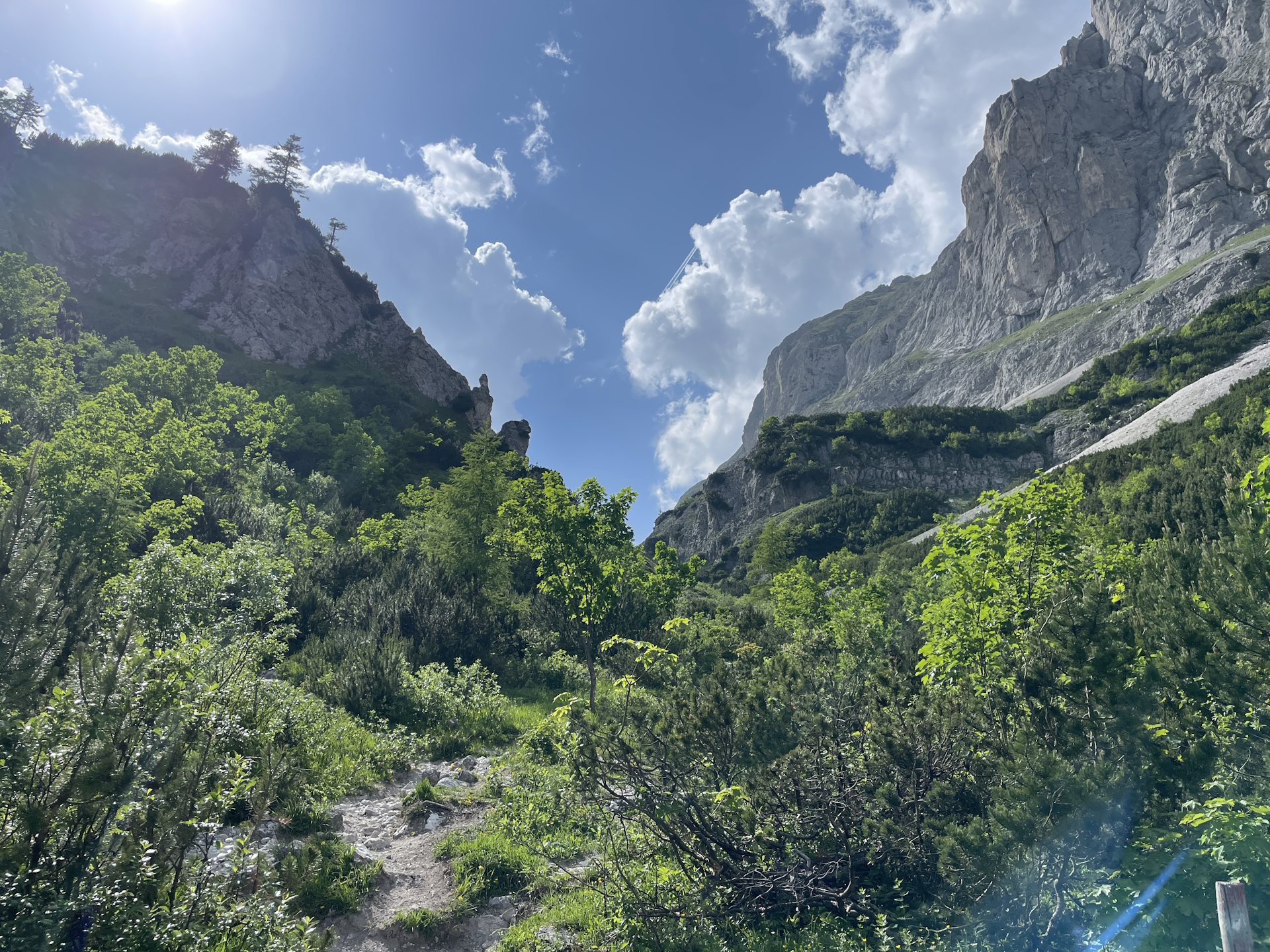 Ascending to <i>Franzosenkreuz</i>