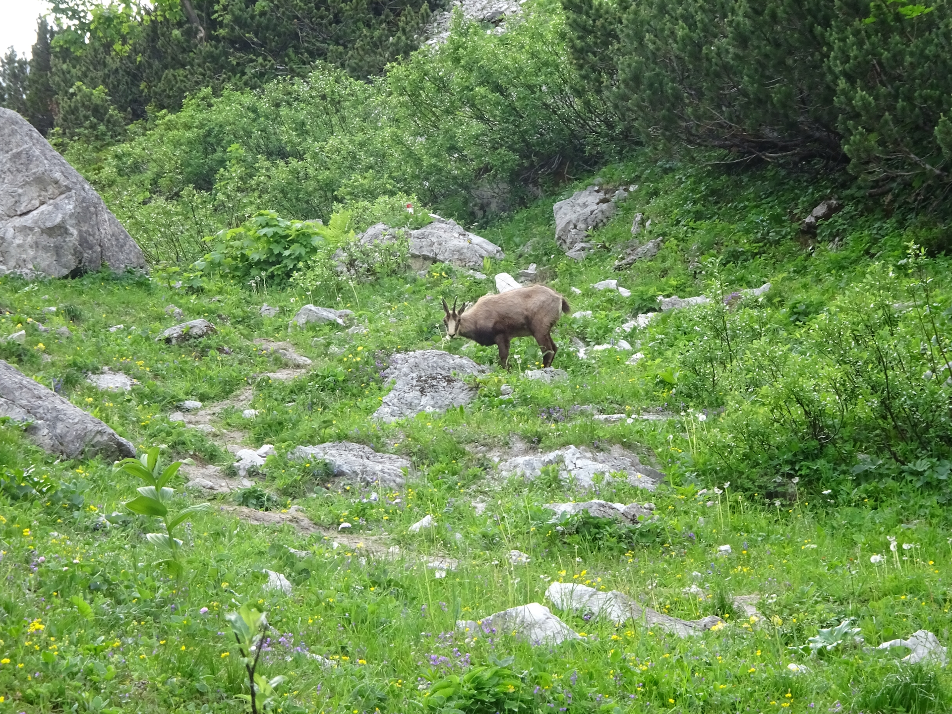 Meeting the real habitants of the area