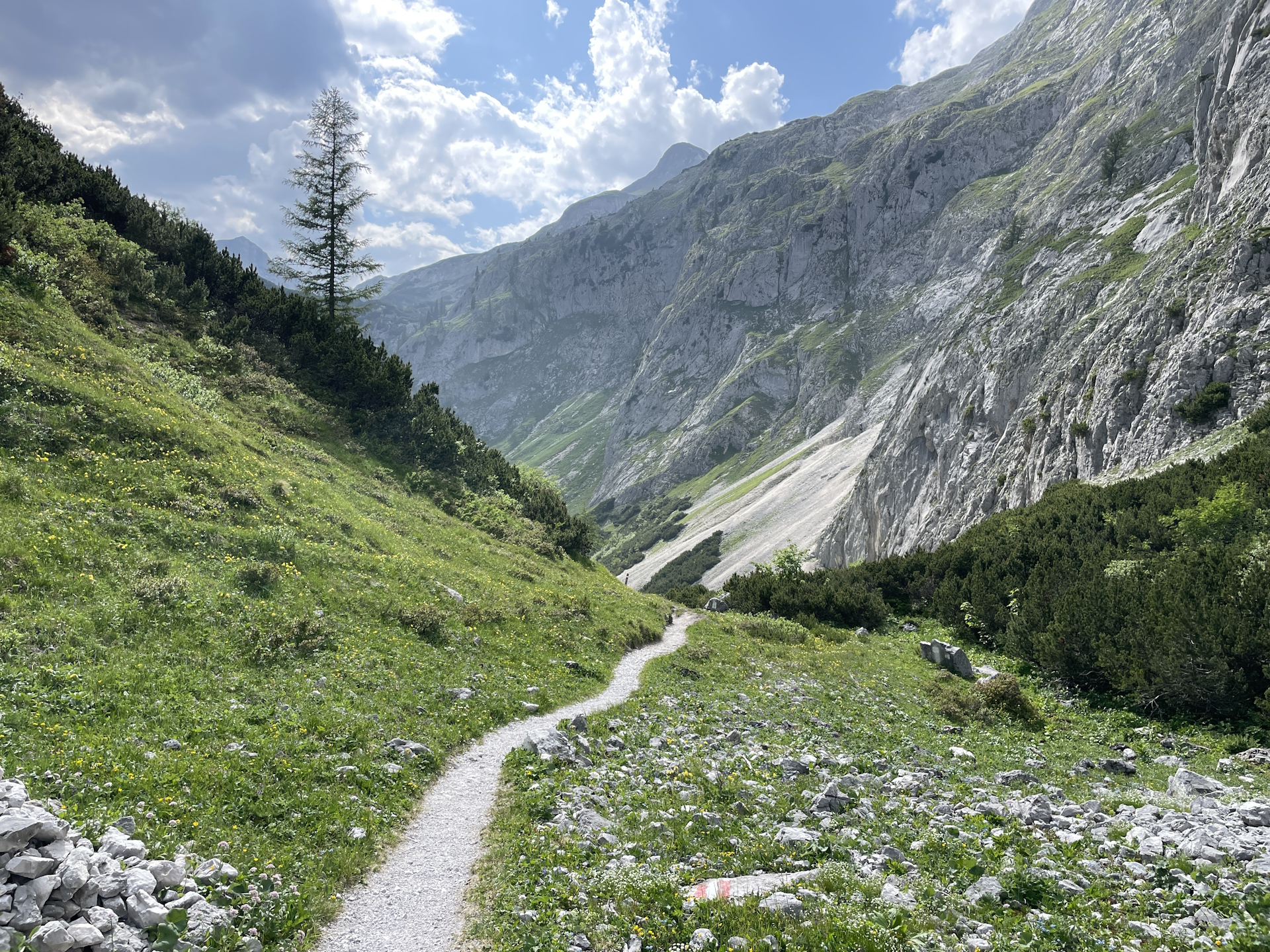 Towards <i>Voisthalerhütte</i>