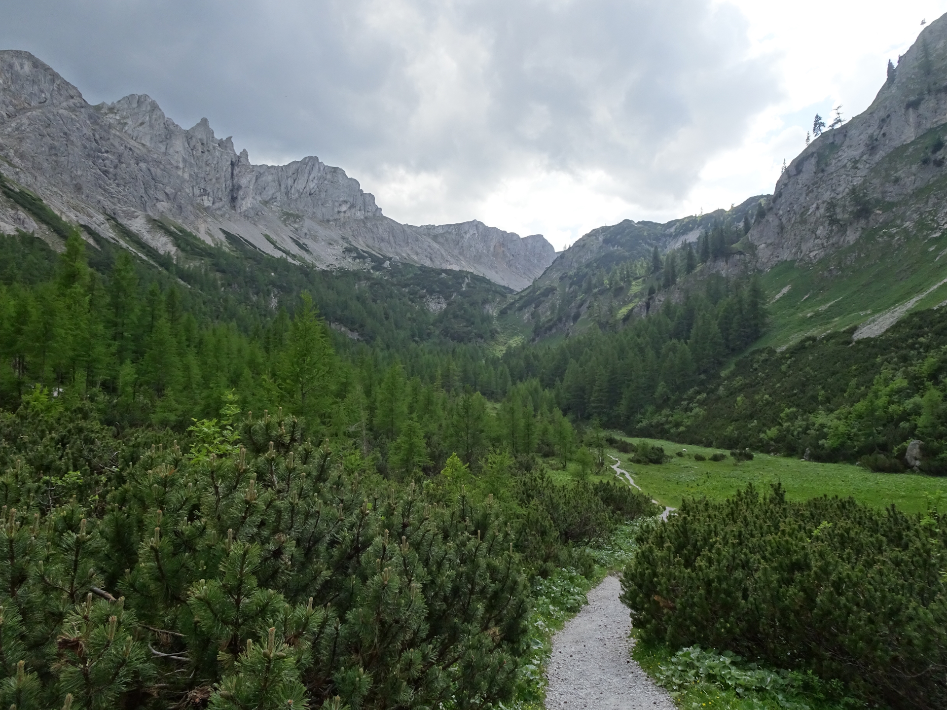 Towards <i>Voisthalerhütte</i>