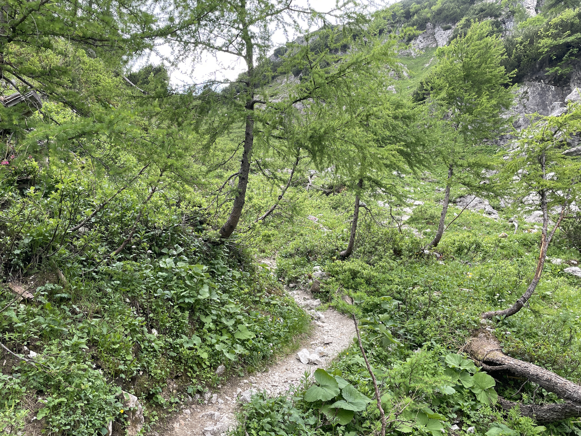 On the way to <i>Voisthalerhütte</i>