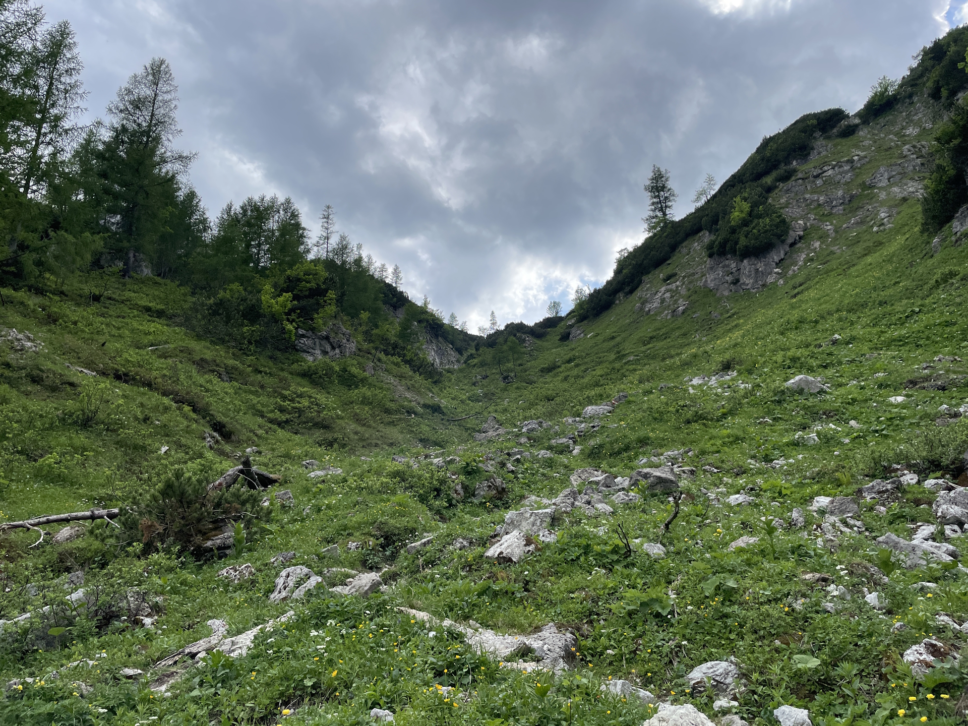 The steep ascent to <i>Voisthalerhütte</i>