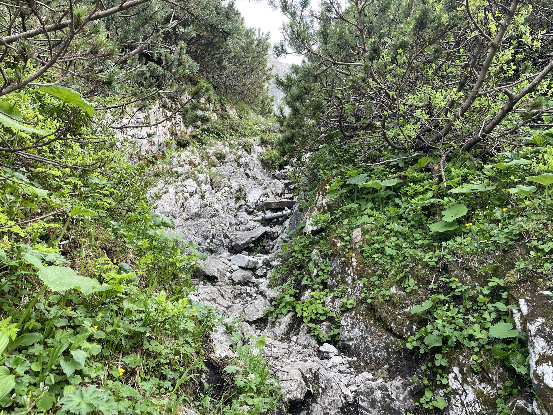 Last meters require (easy) climbing