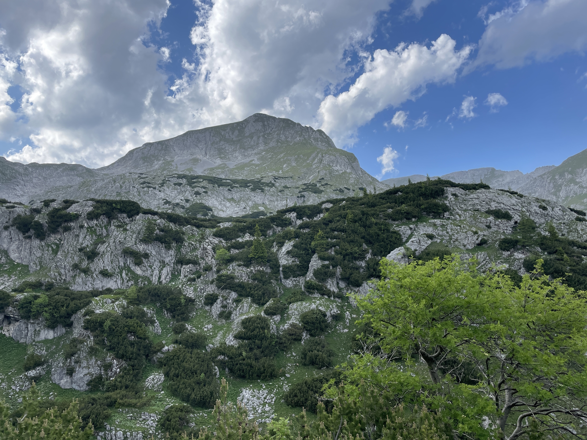 View from the terrace of <i>Voisthalerhütte</i>