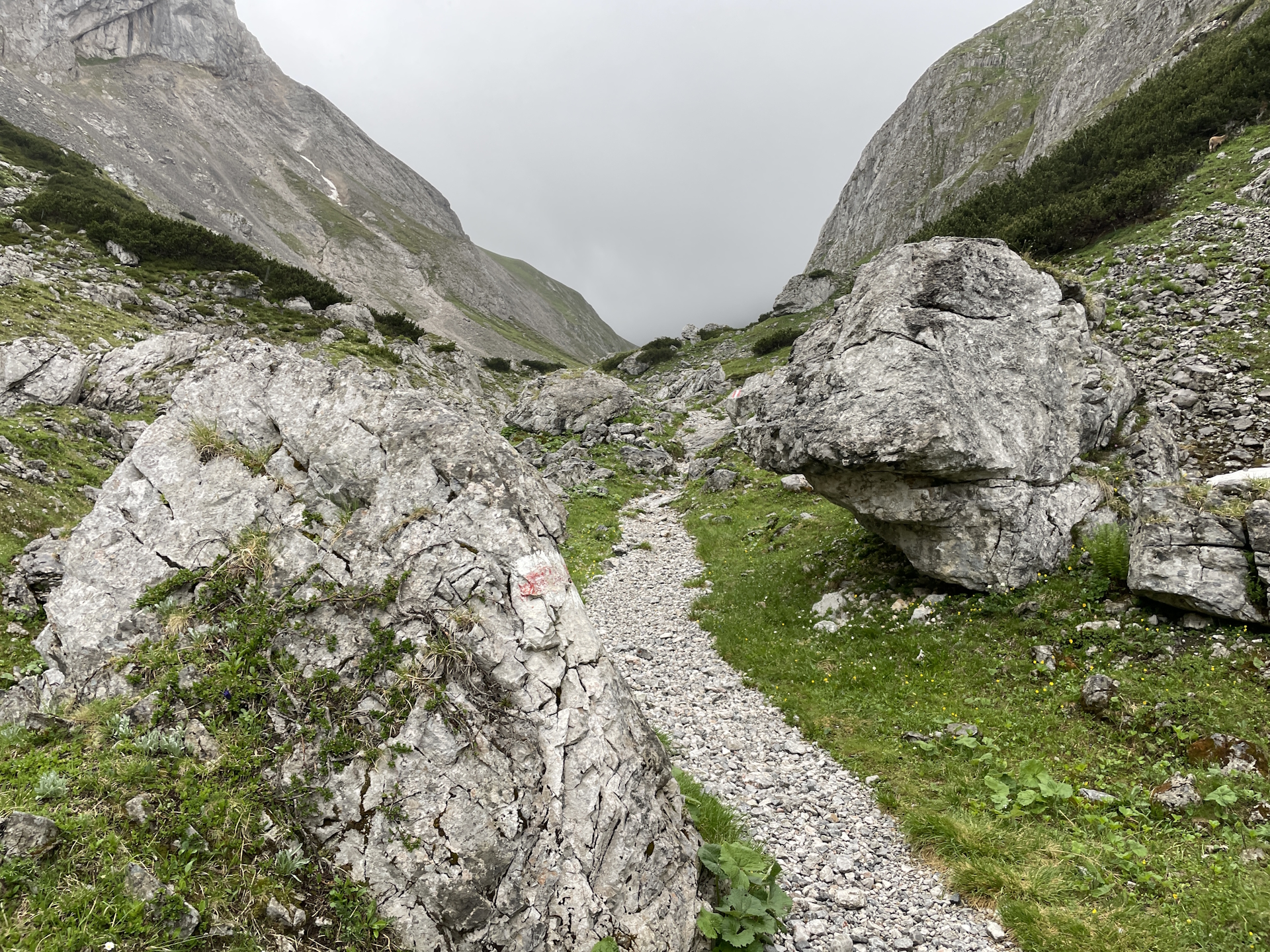Towards <i>Graf-Meran Steig</i>