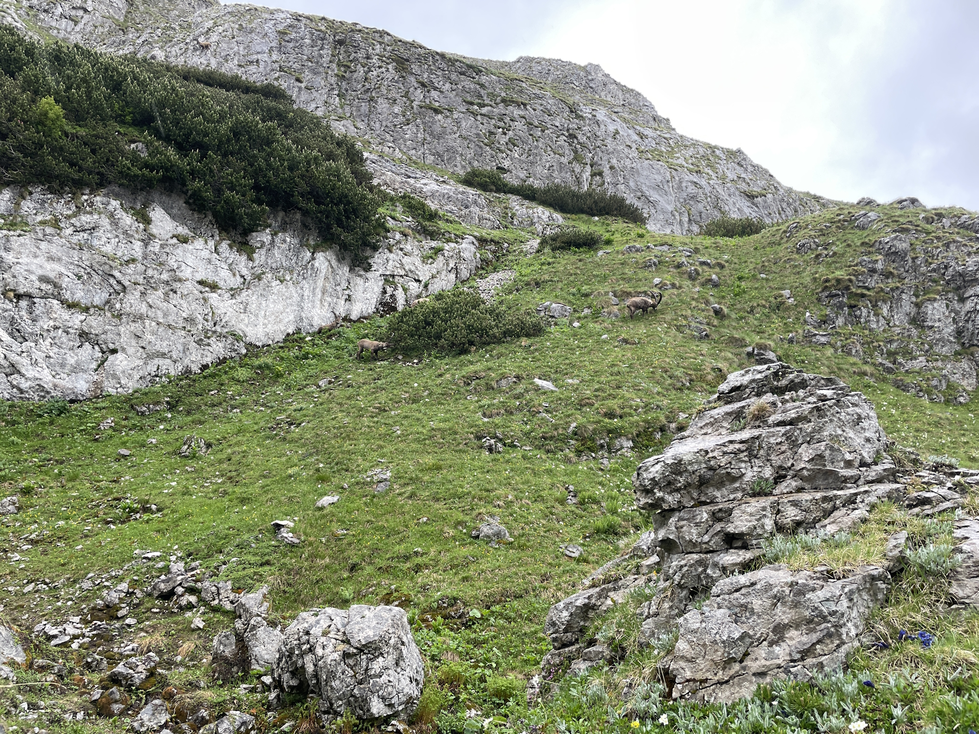 On the <i>Graf-Meran Steig</i>