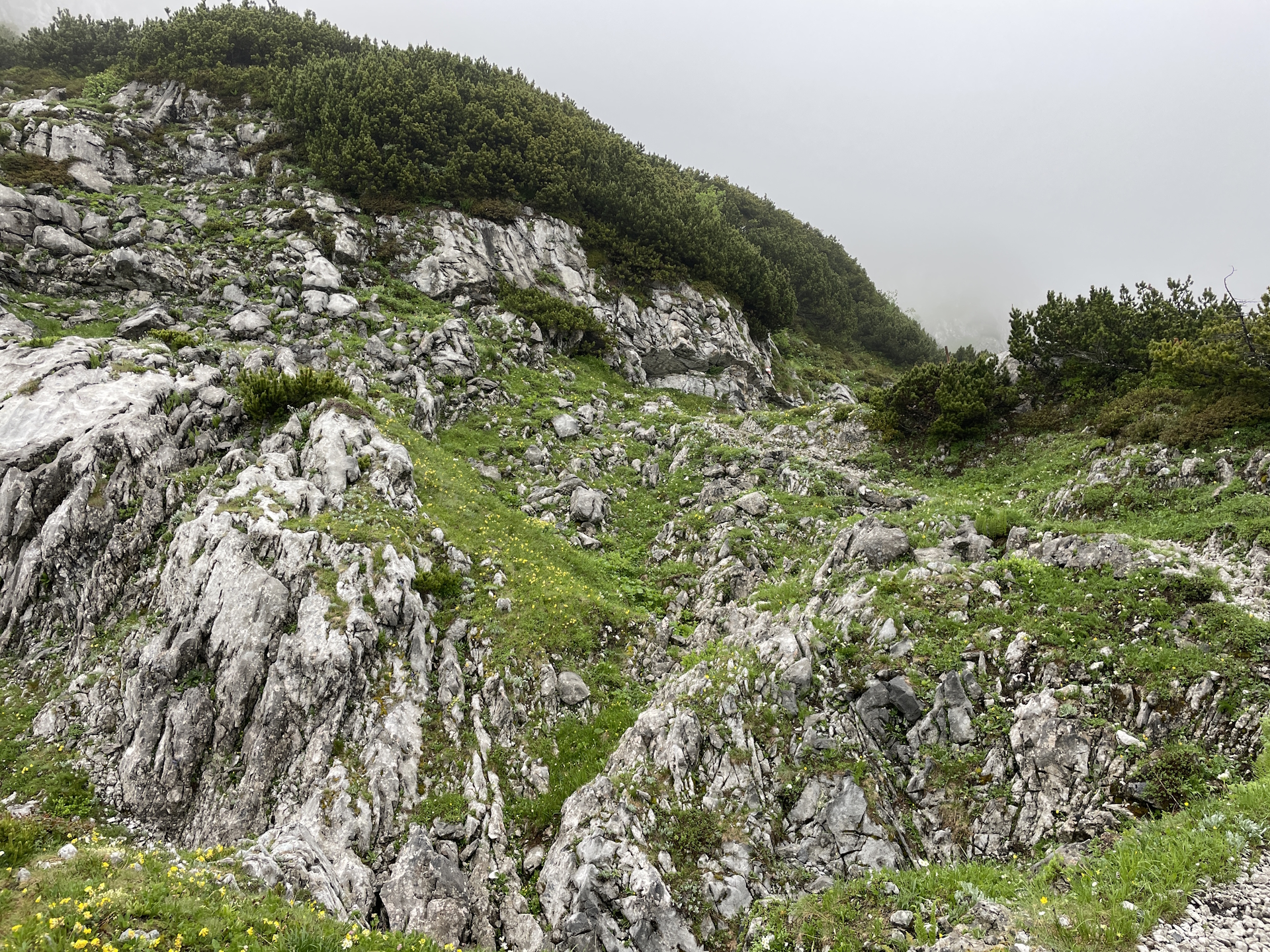 On the trail towards <i>Häuslalm</i>