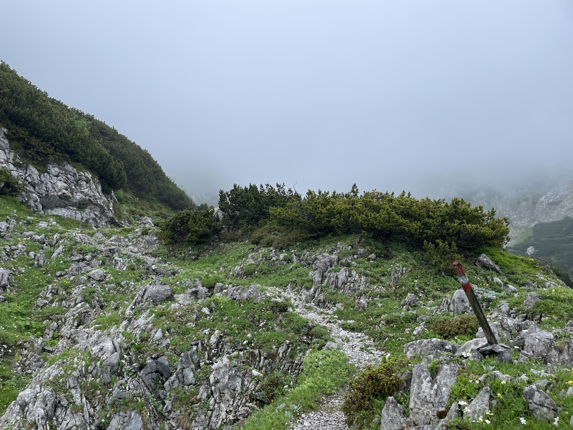 On the trail towards <i>Häuslalm</i>