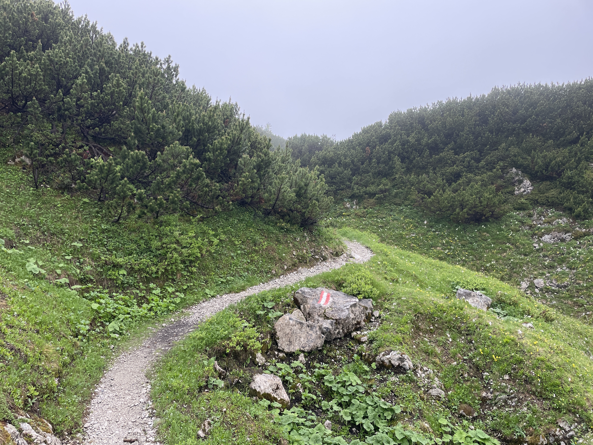 On the trail towards <i>Häuslalm</i>
