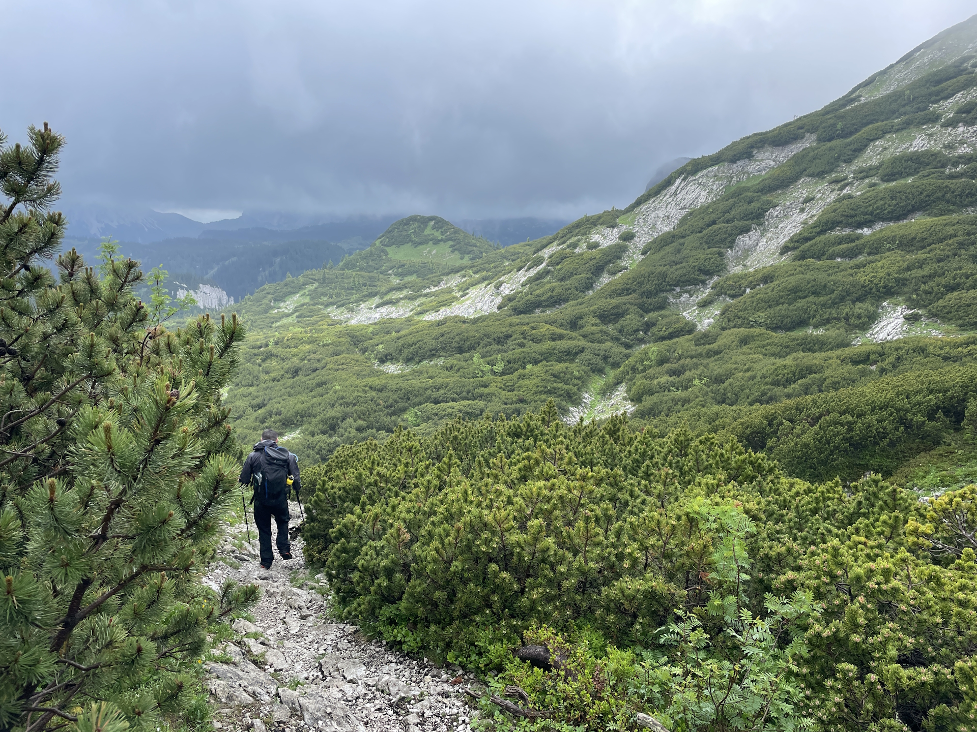 On the trail towards <i>Häuslalm</i>