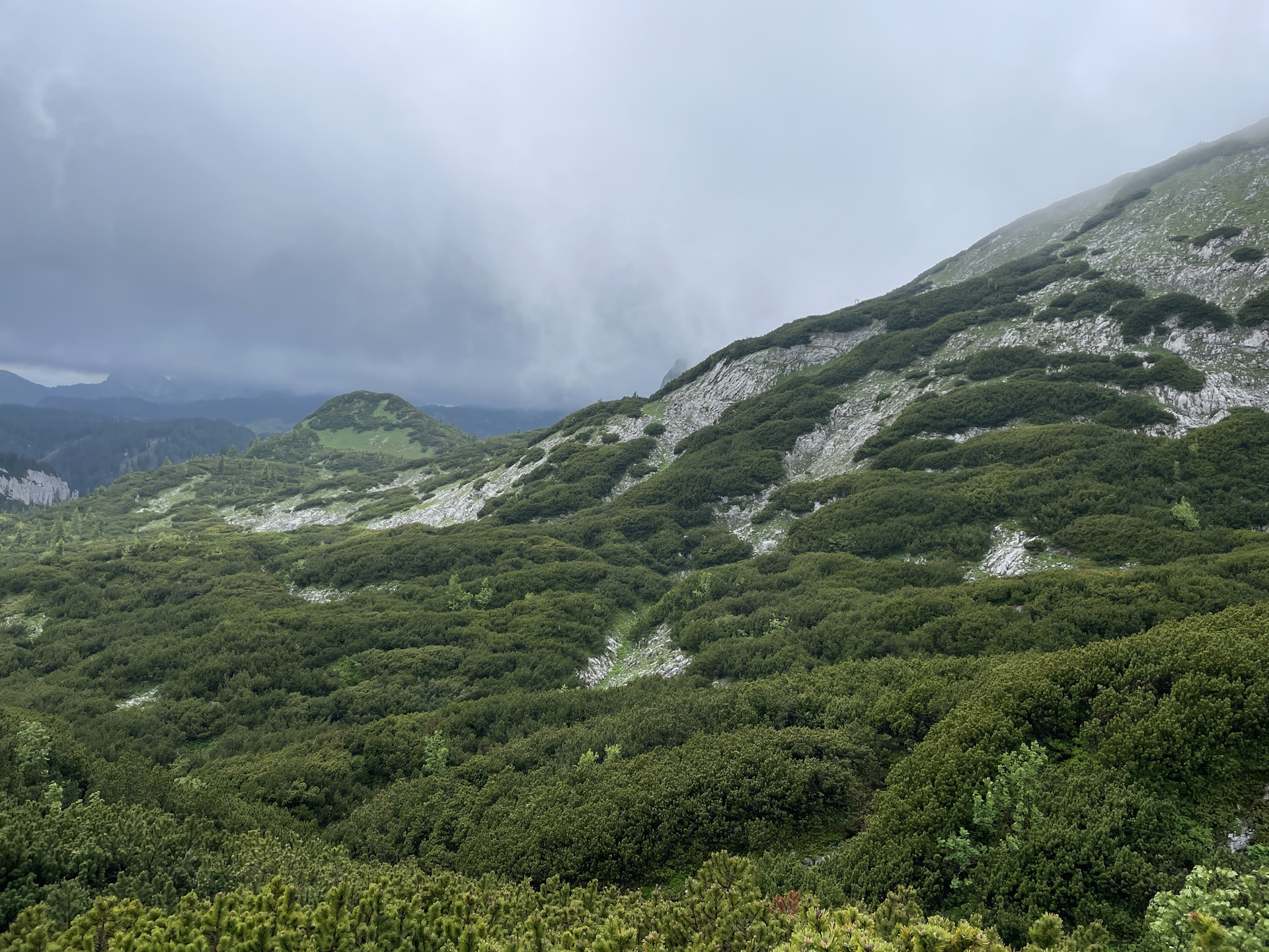 Shortly before <i>Häuslalm</i>