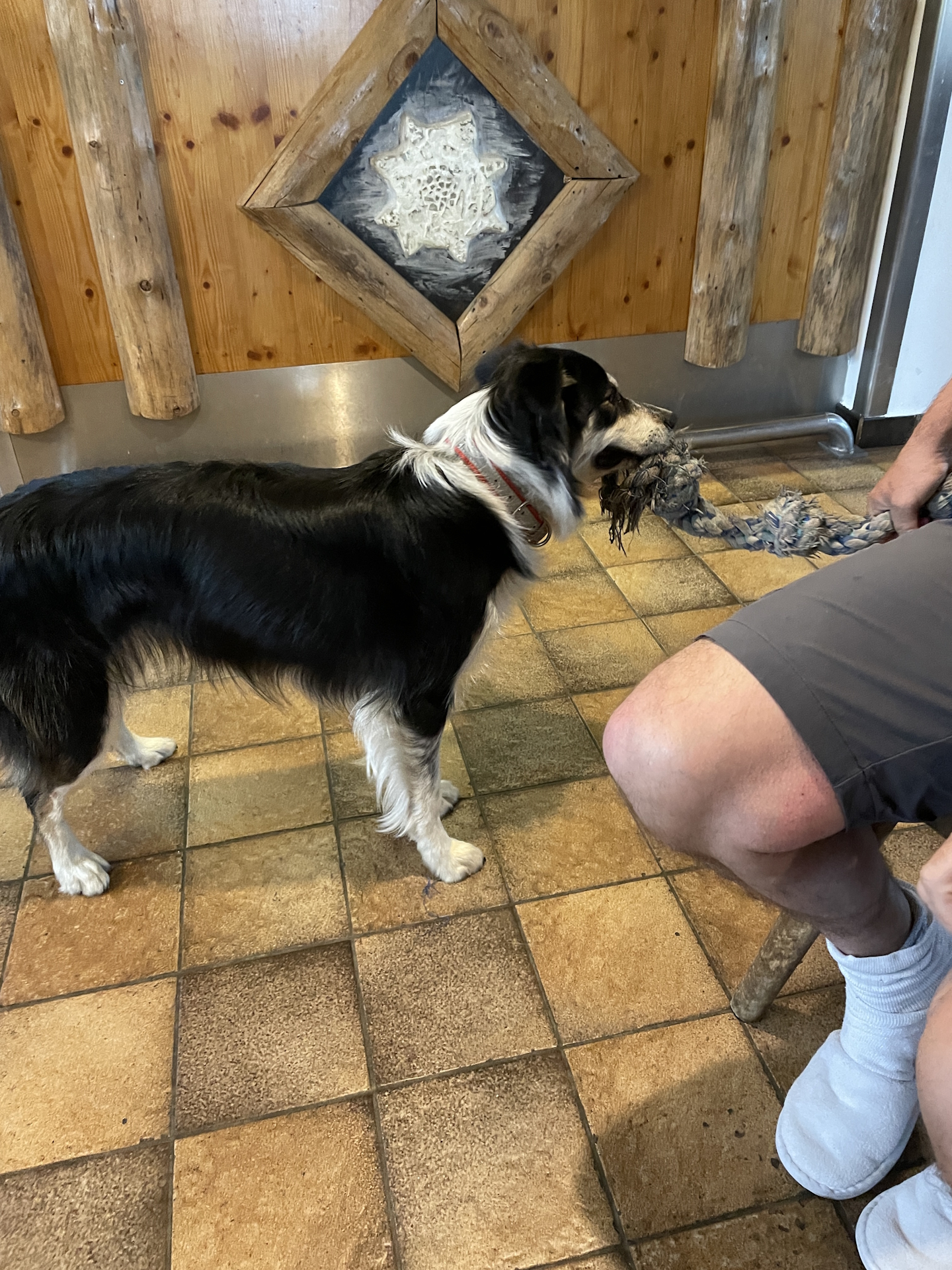 Robert entertains the dog.