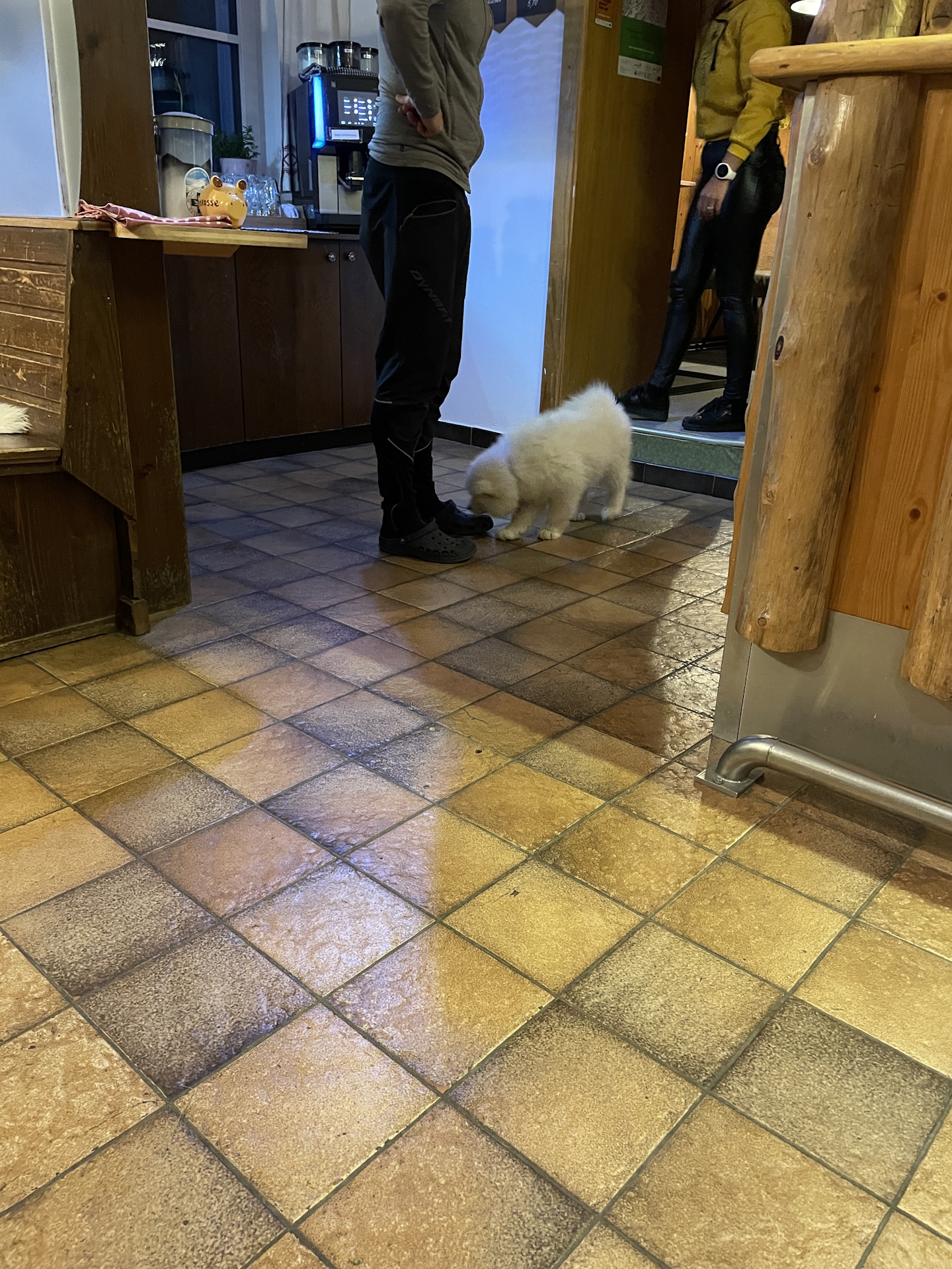 Zoey is joining the entertainment